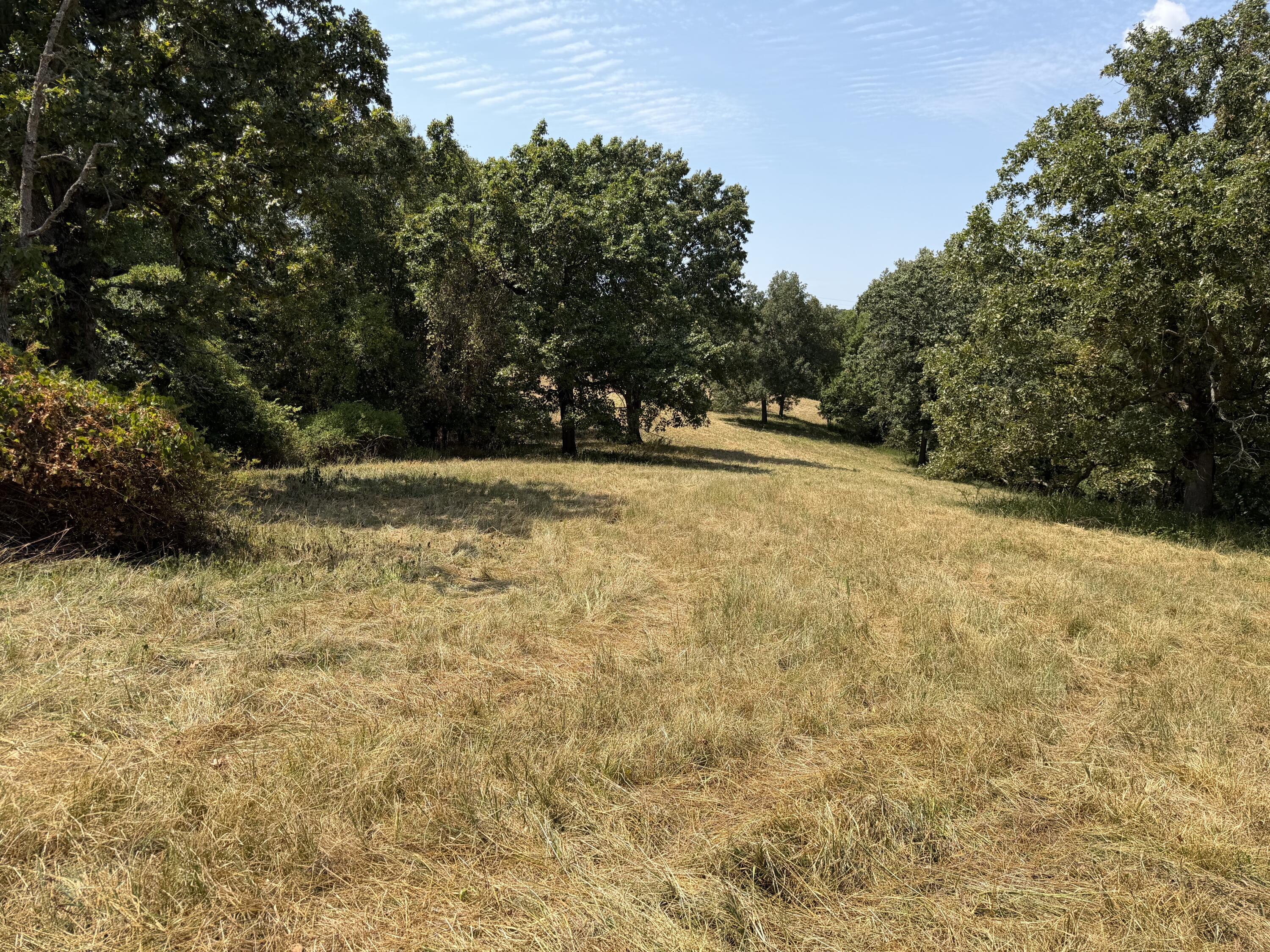 7382 Route Ee Highway Property Photo 38