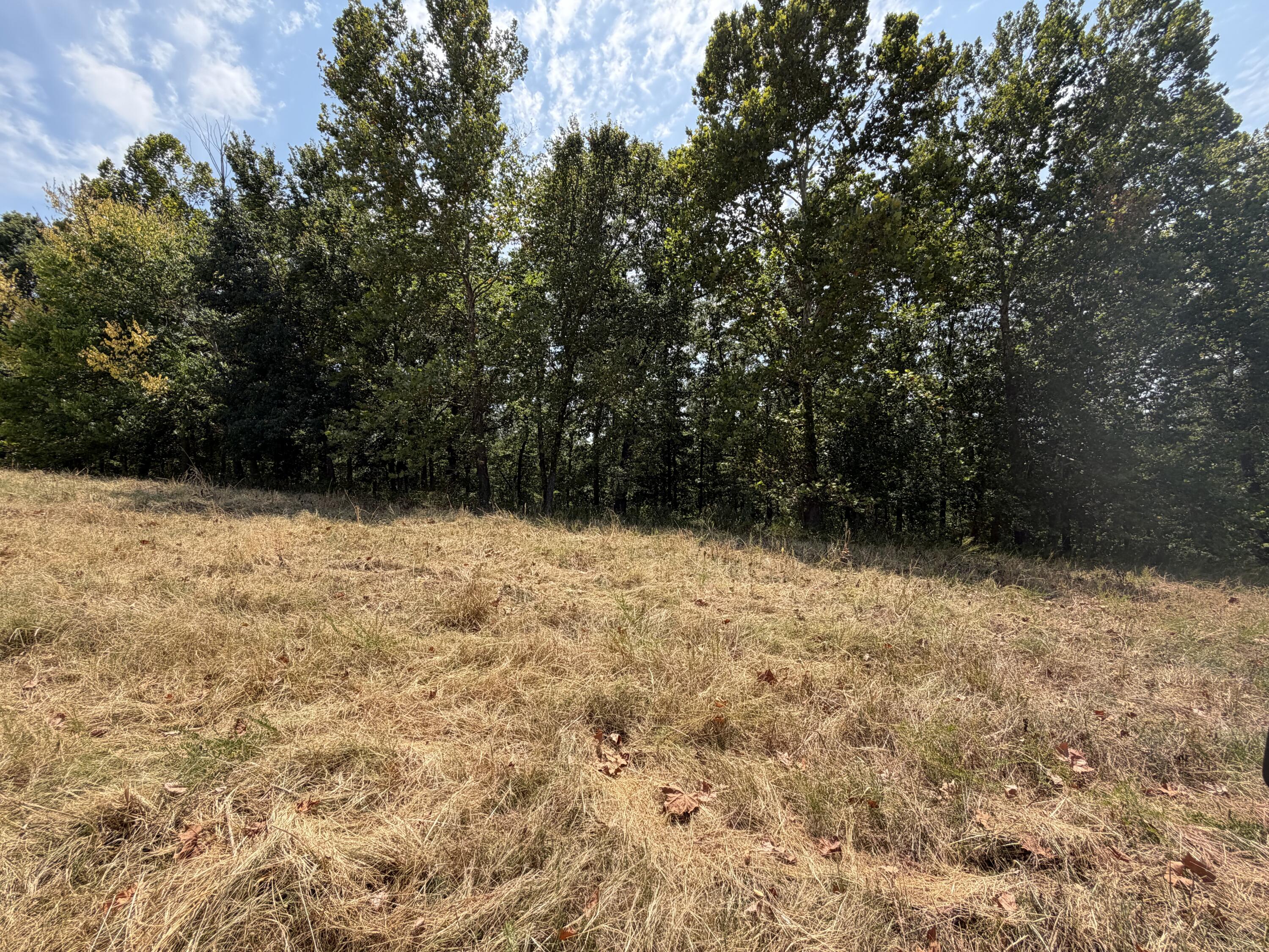 7382 Route Ee Highway Property Photo 39