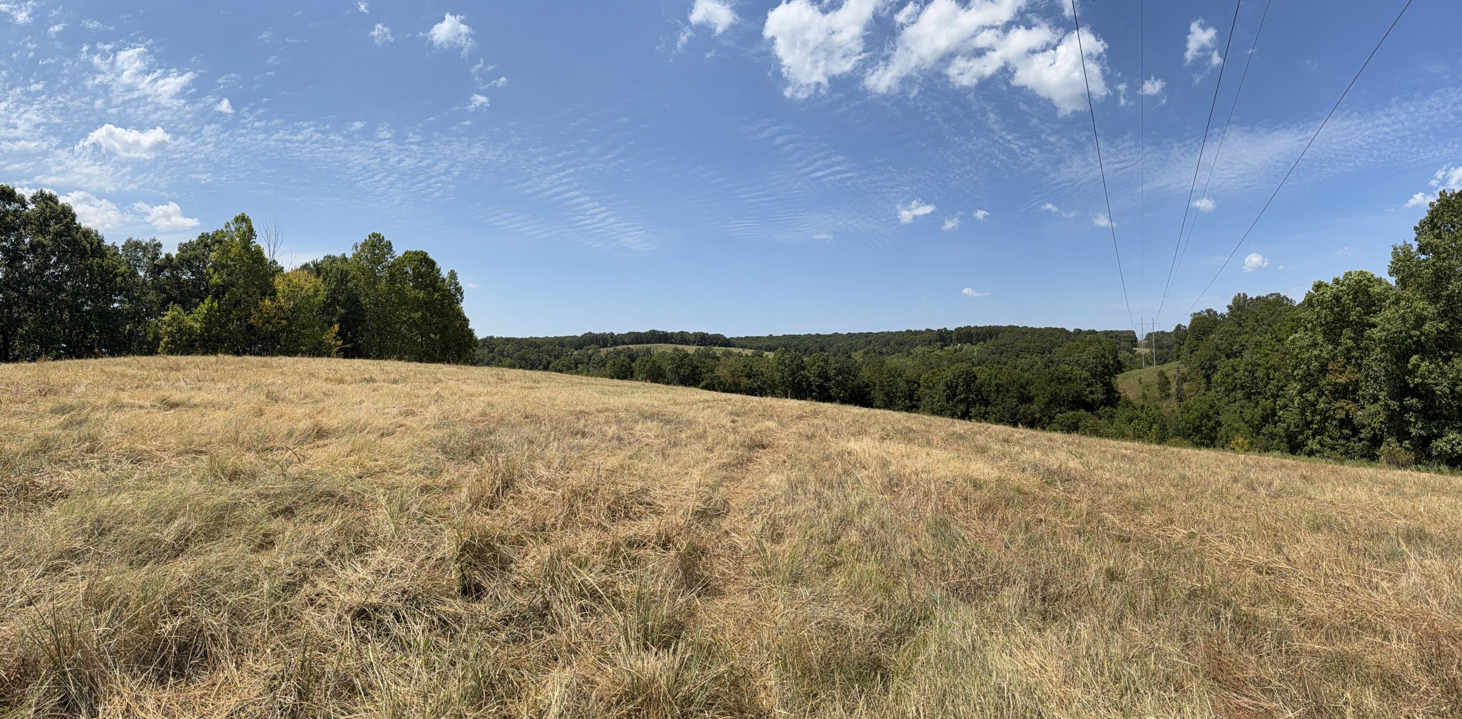 7382 Route Ee Highway Property Photo 40