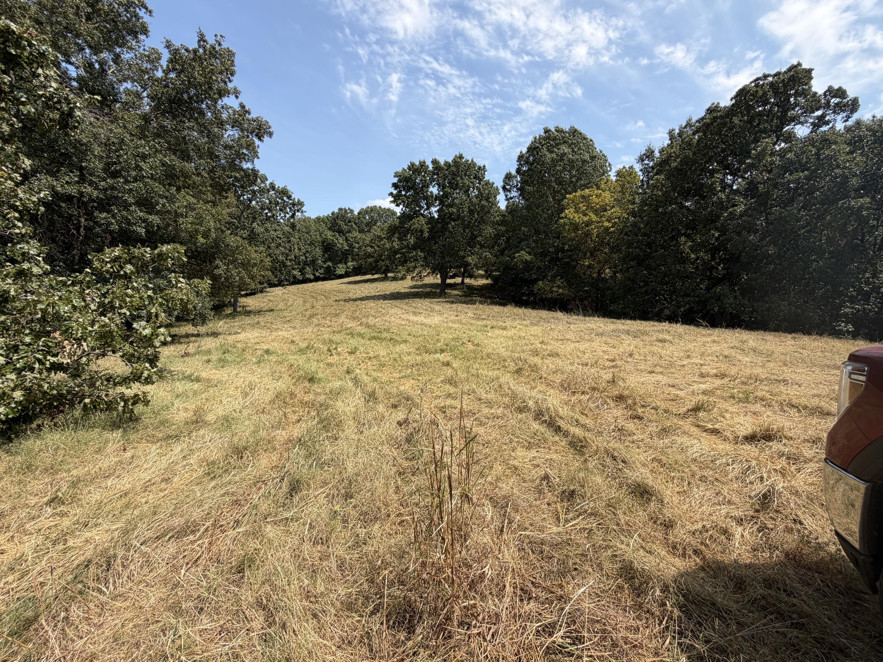 7382 Route Ee Highway Property Photo 41