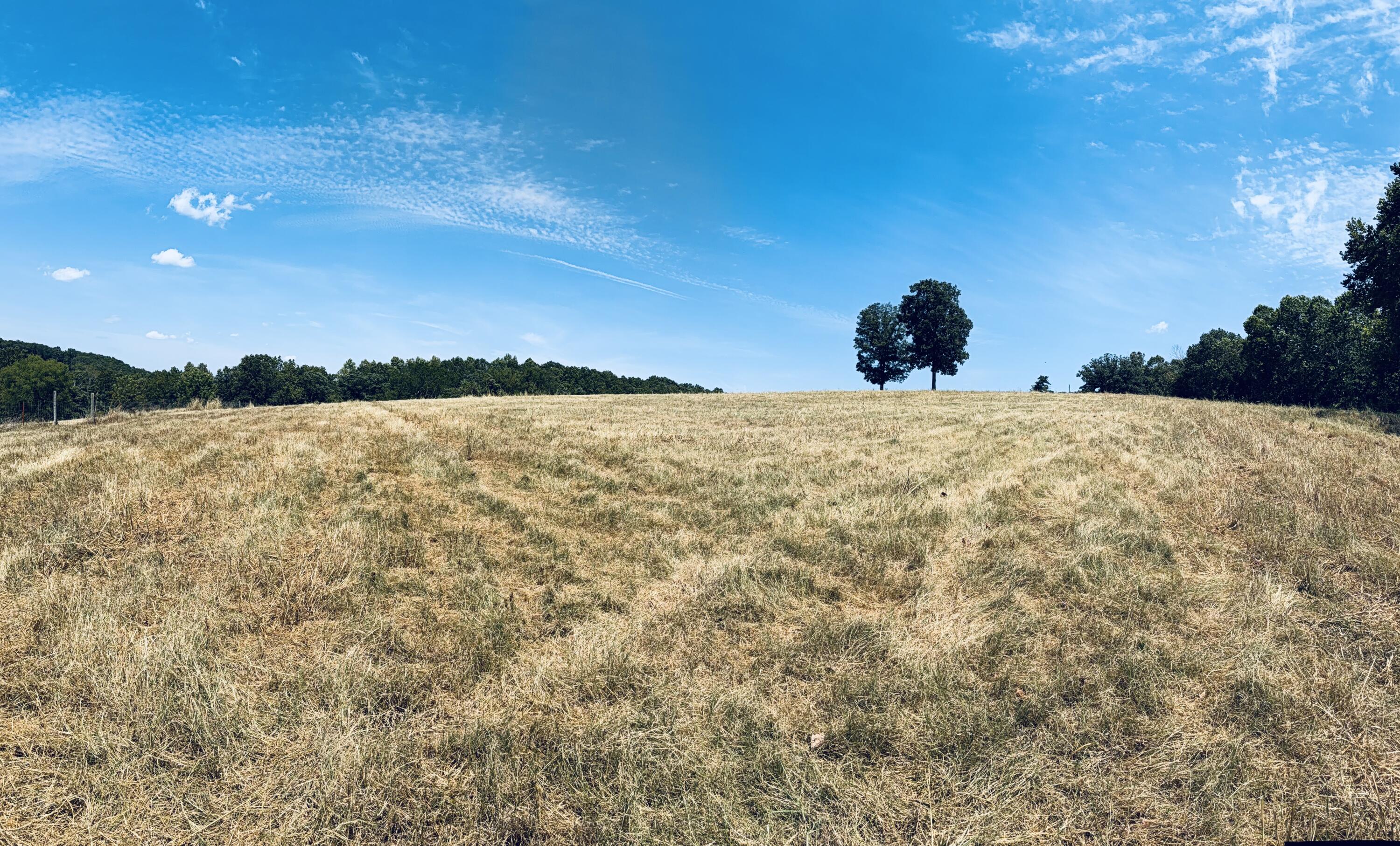 7382 Route Ee Highway Property Photo 42