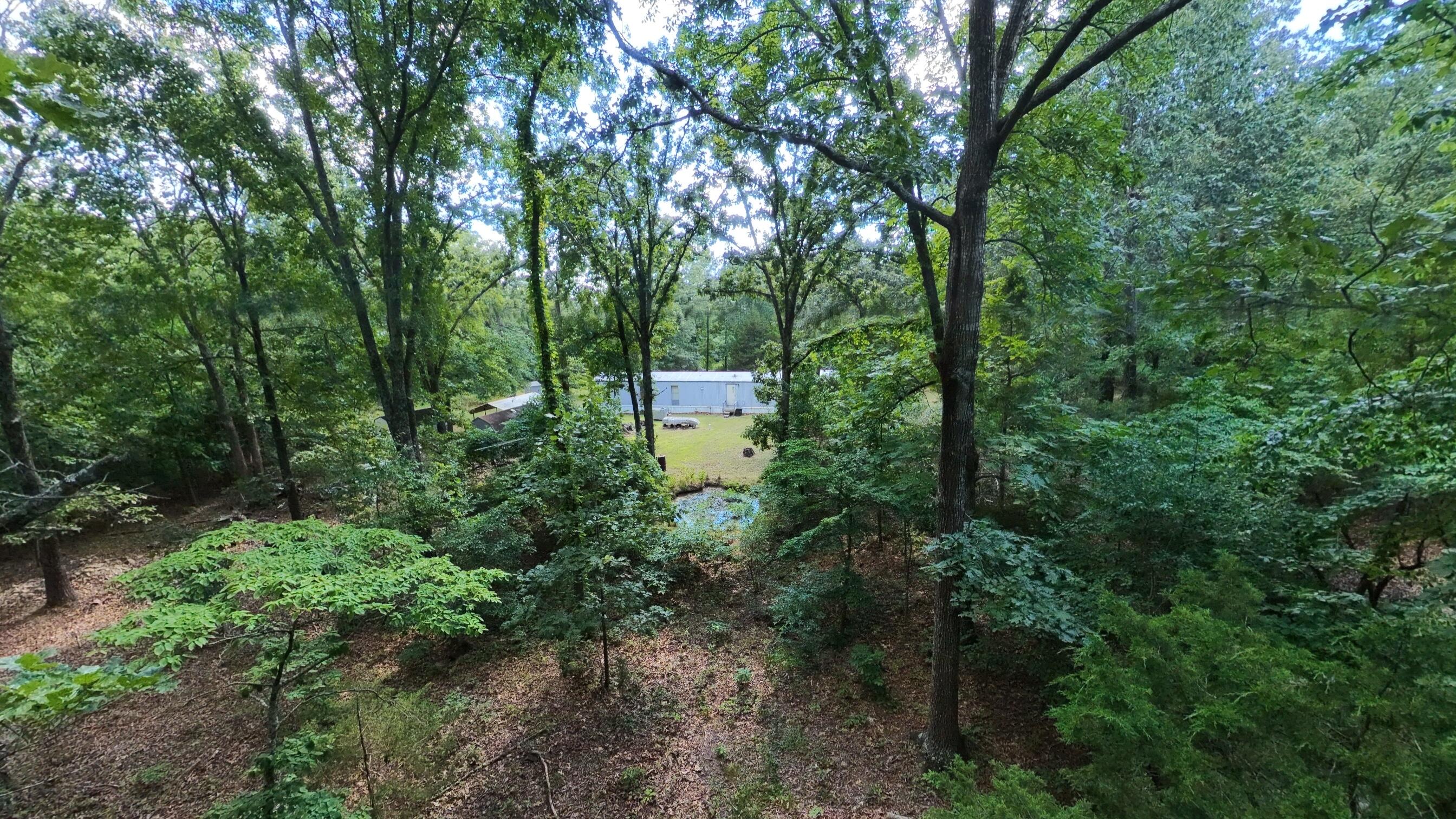 310 County Road 343 Property Photo 31