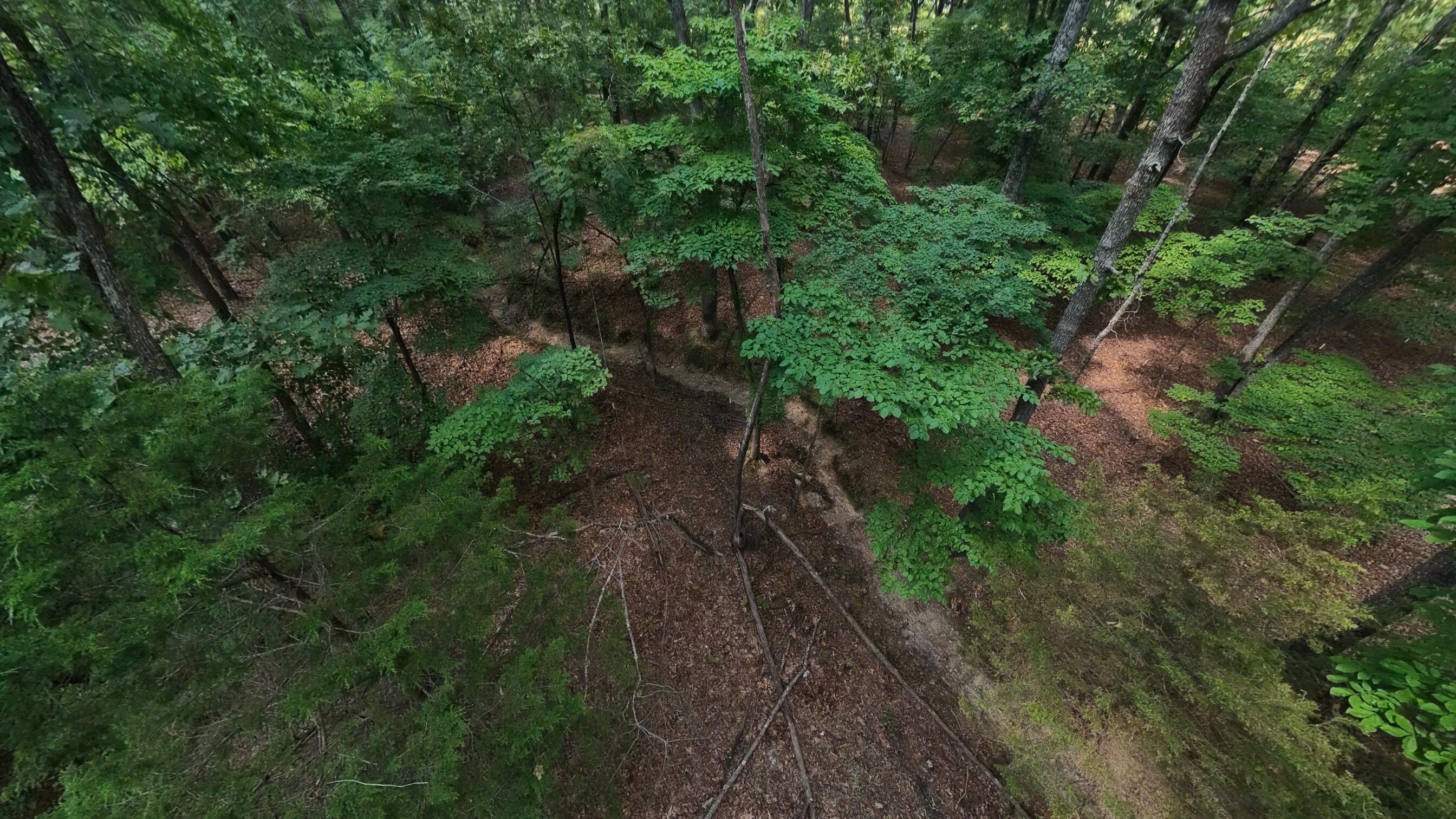 310 County Road 343 Property Photo 34