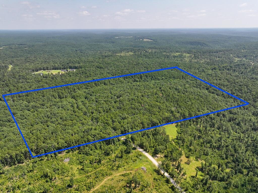 Tbd Lynch Drive Property Photo 3