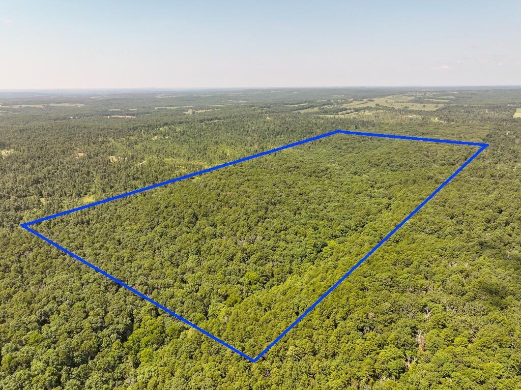Tbd Lynch Drive Property Photo 5