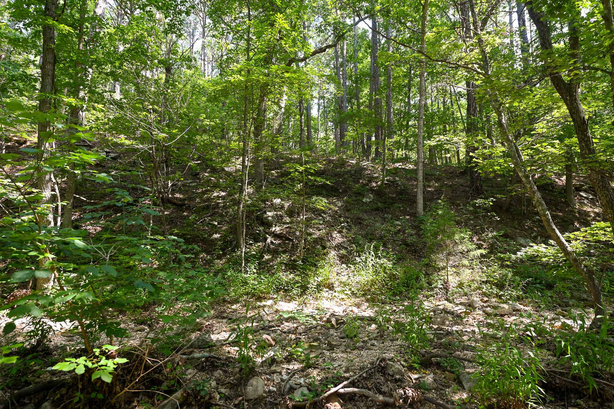 Tbd Lynch Drive Property Photo 26