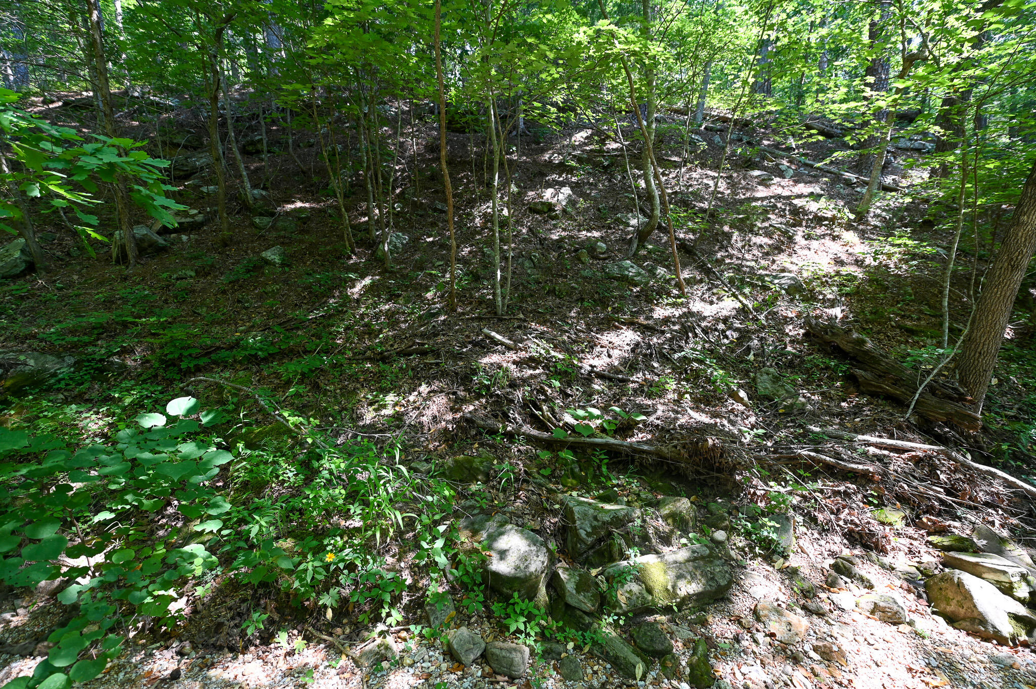 Tbd Lynch Drive Property Photo 28