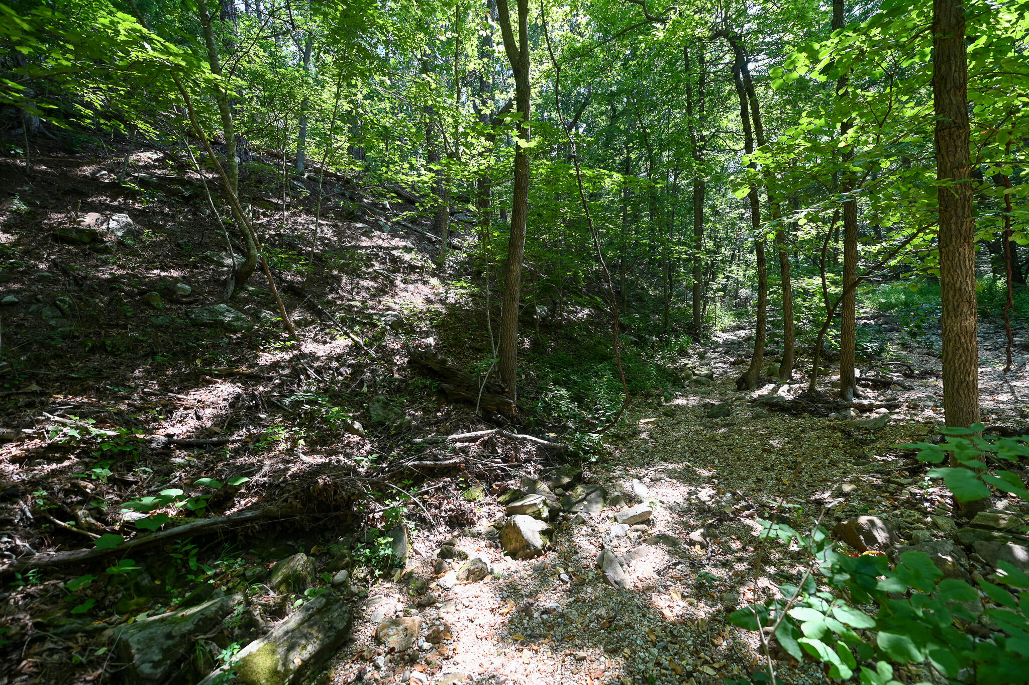 Tbd Lynch Drive Property Photo 29