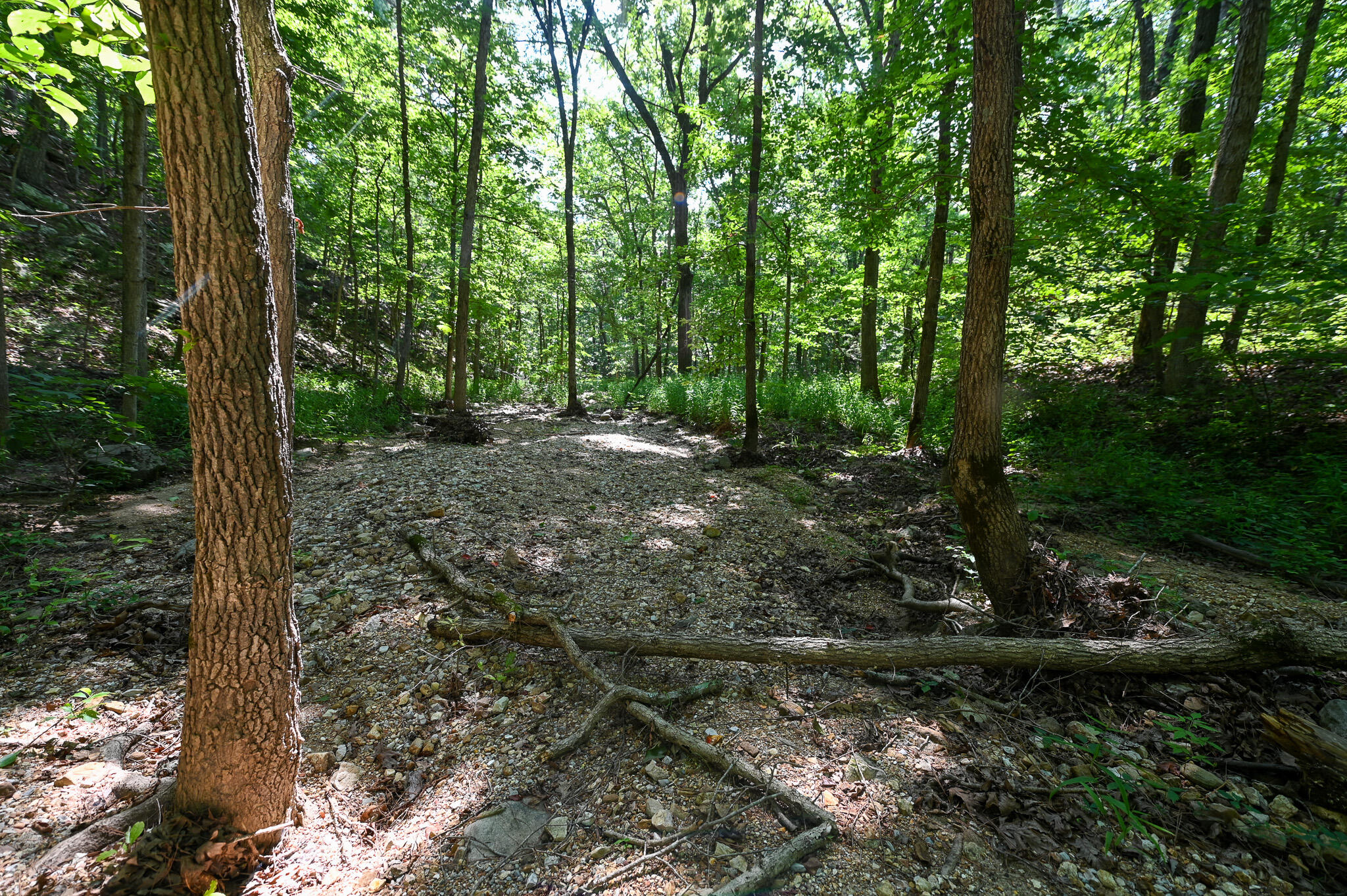Tbd Lynch Drive Property Photo 30