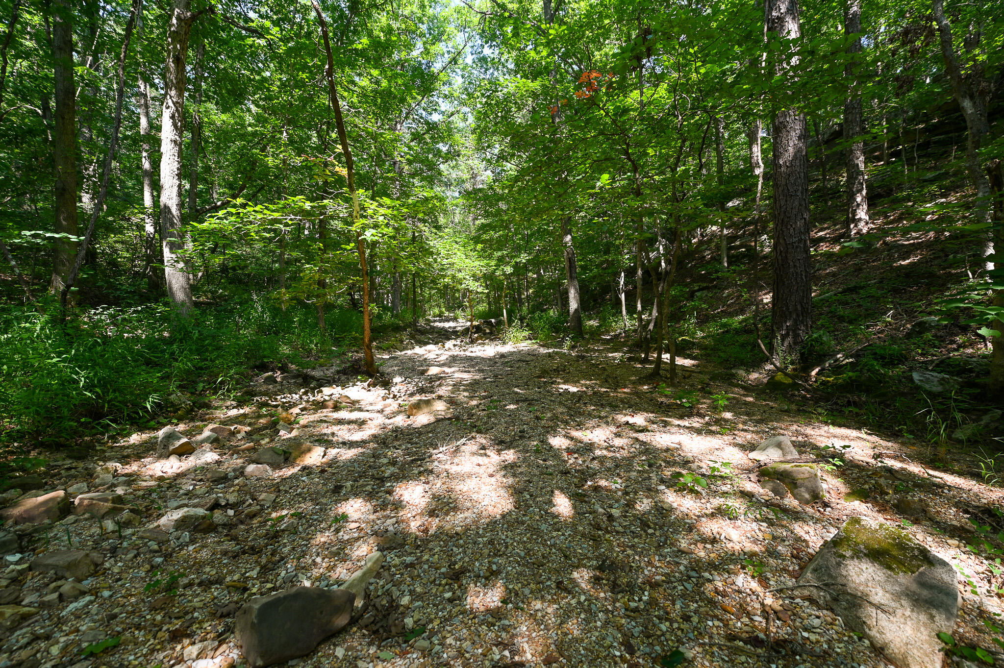 Tbd Lynch Drive Property Photo 31