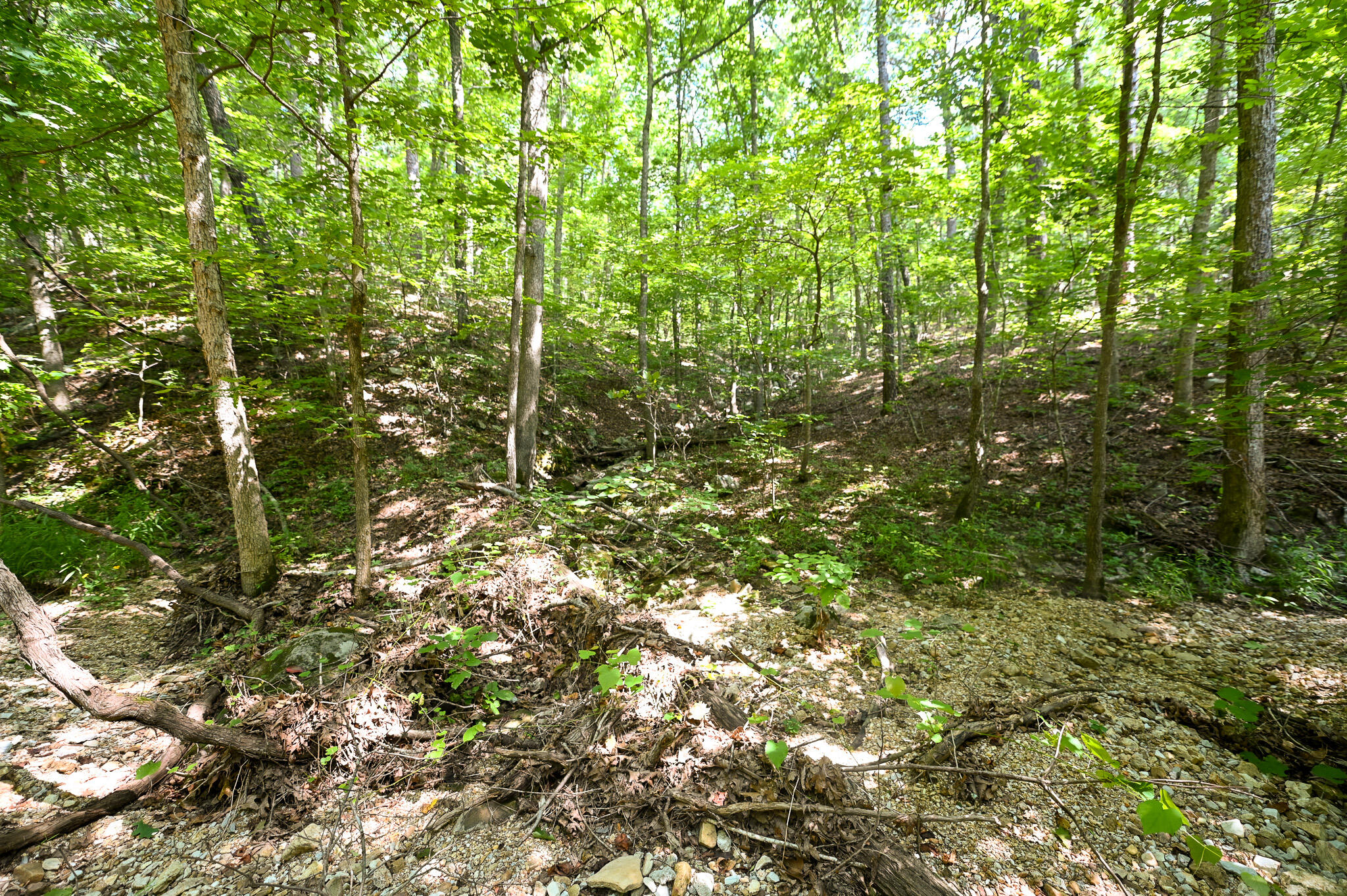 Tbd Lynch Drive Property Photo 32