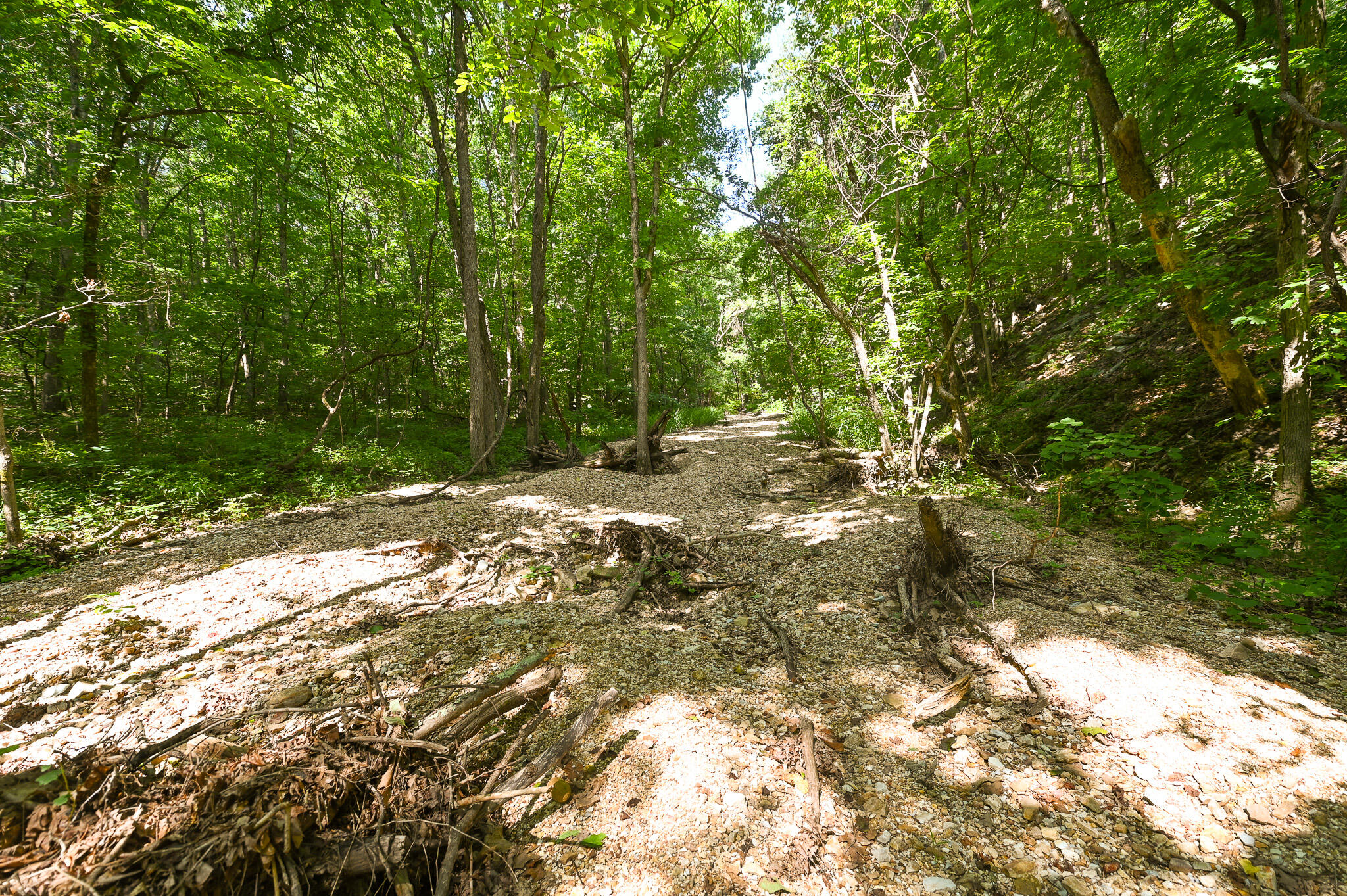 Tbd Lynch Drive Property Photo 33