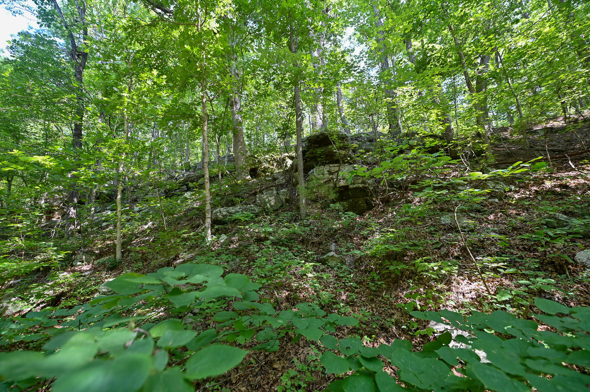 Tbd Lynch Drive Property Photo 34