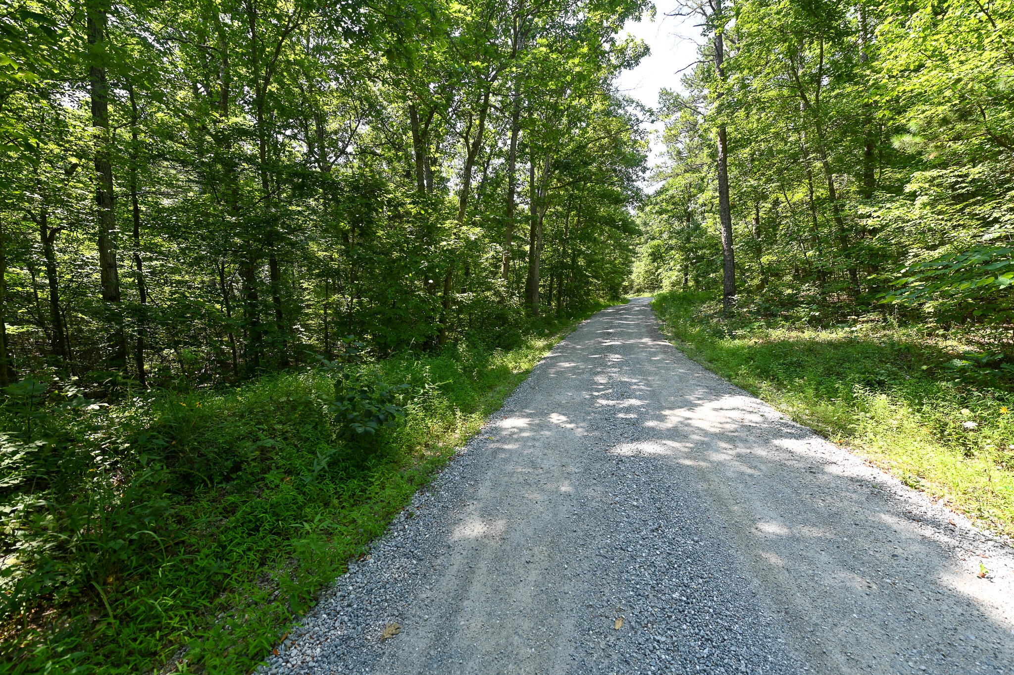 Tbd Lynch Drive Property Photo 37