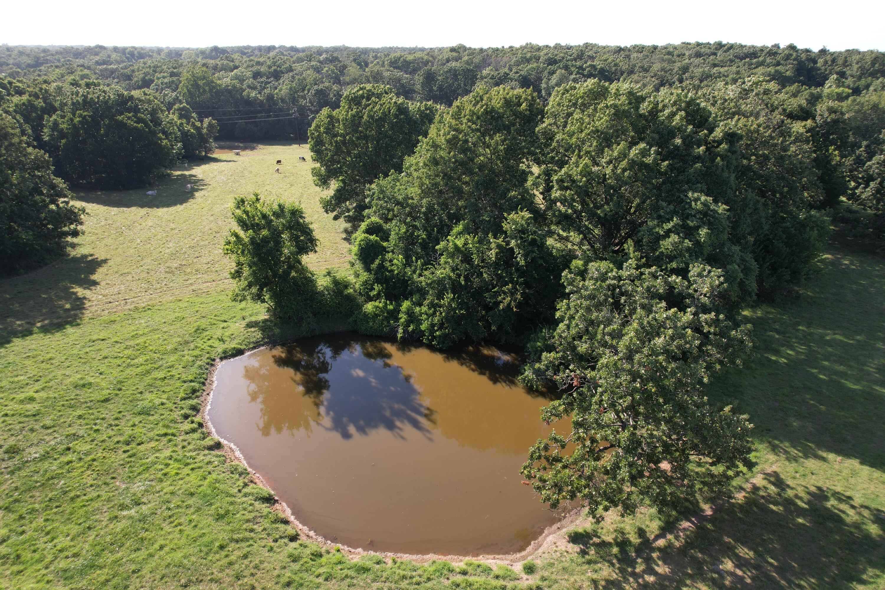 6731 Raccoon Road Property Photo 31