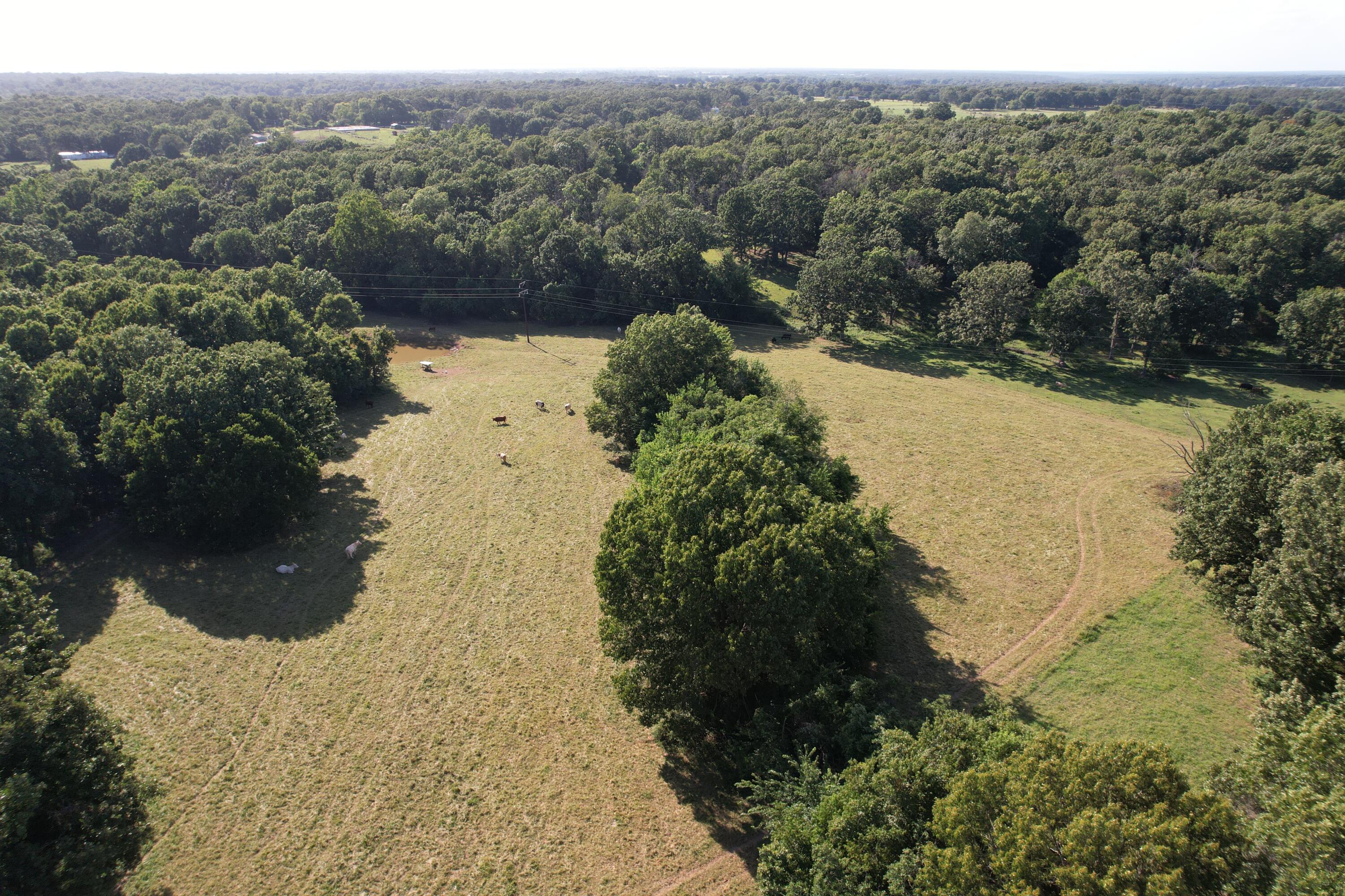 6731 Raccoon Road Property Photo 33