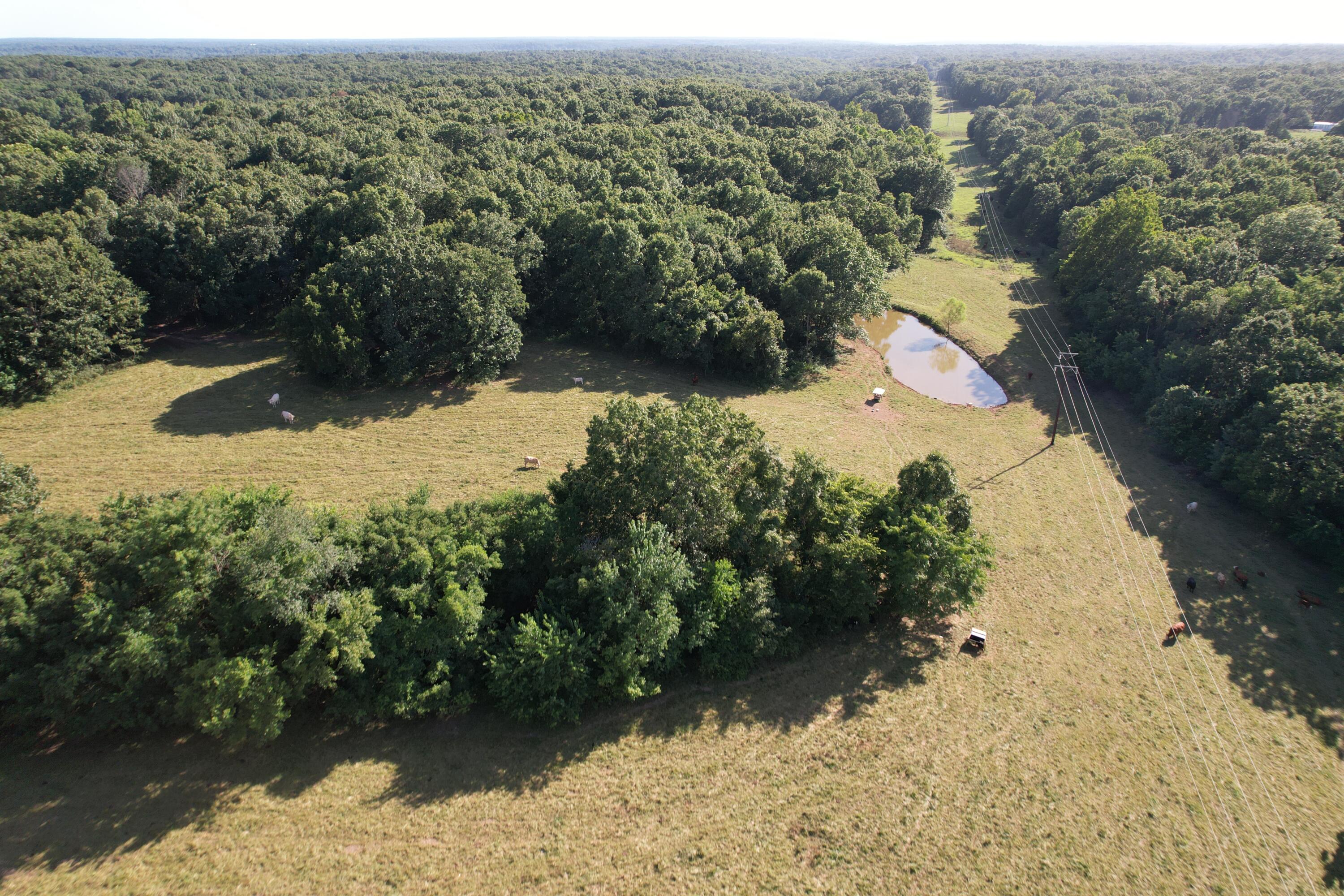 6731 Raccoon Road Property Photo 35
