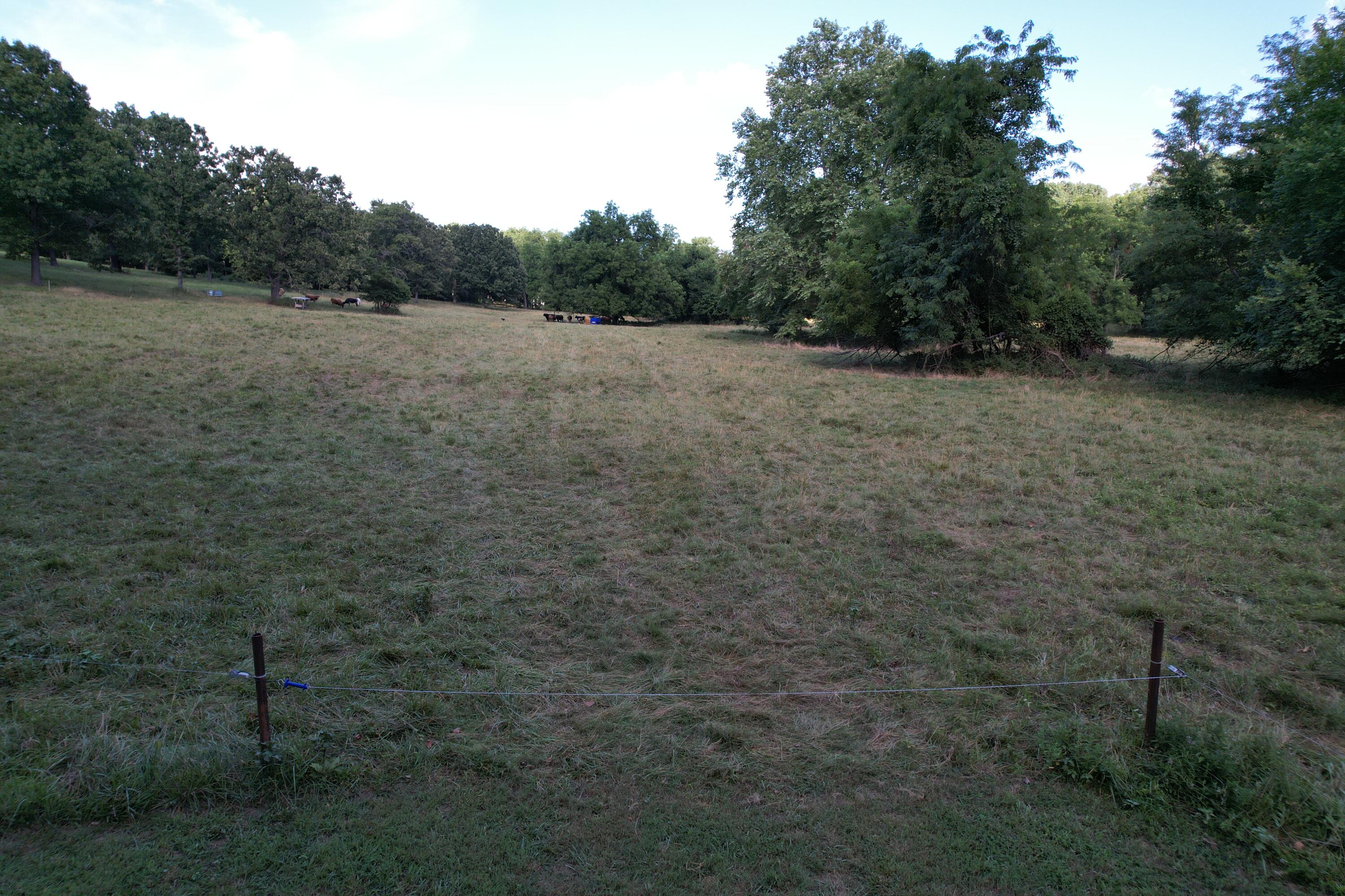 6731 Raccoon Road Property Photo 46