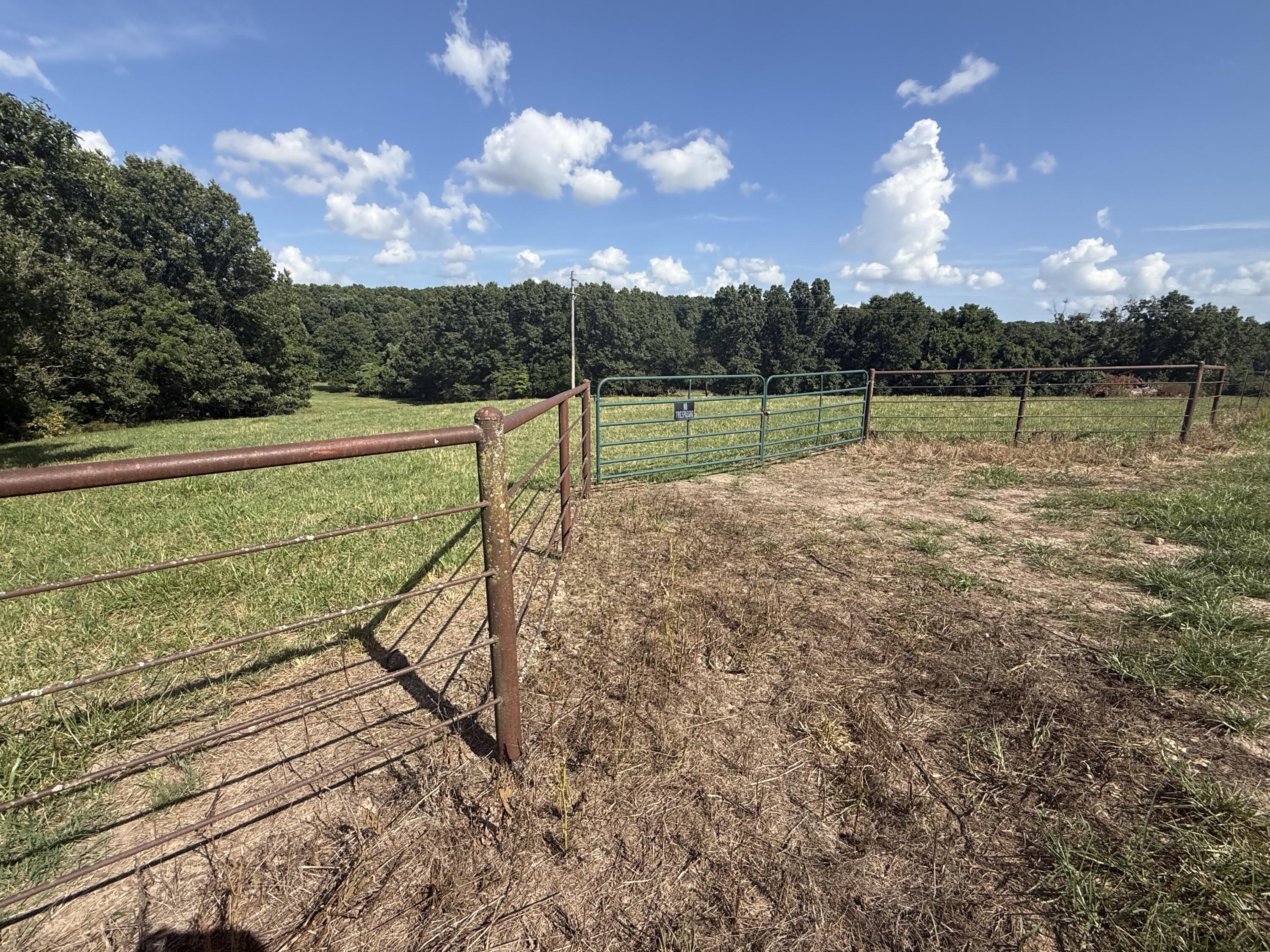 6731 Raccoon Road Property Photo 54
