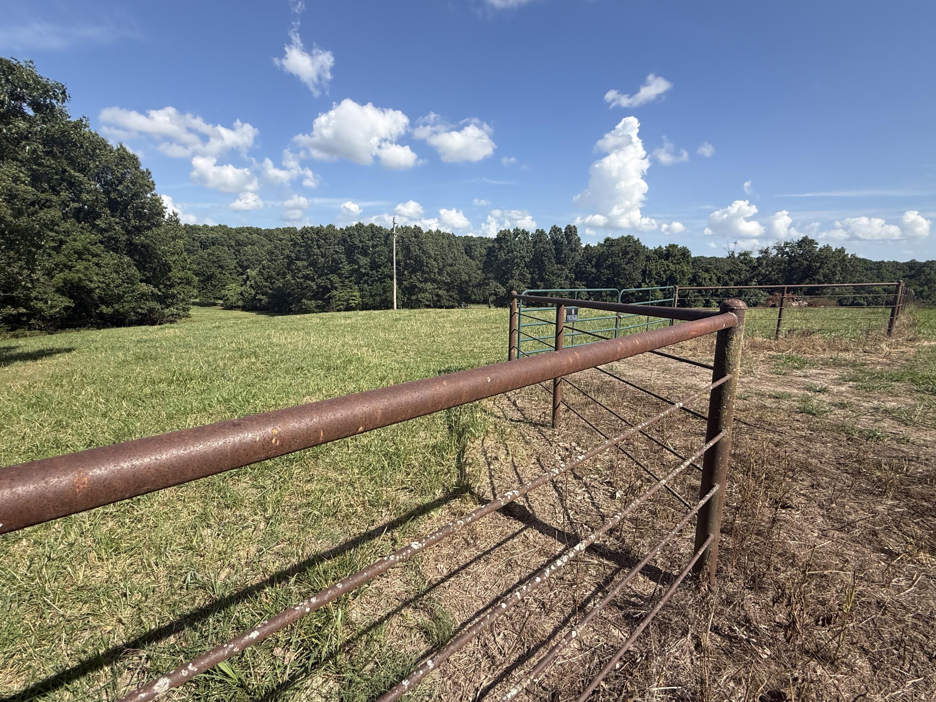 6731 Raccoon Road Property Photo 56