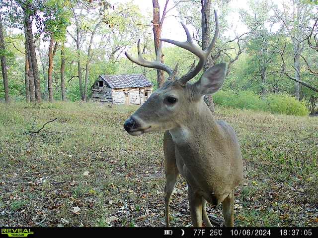 6731 Raccoon Road Property Photo 57