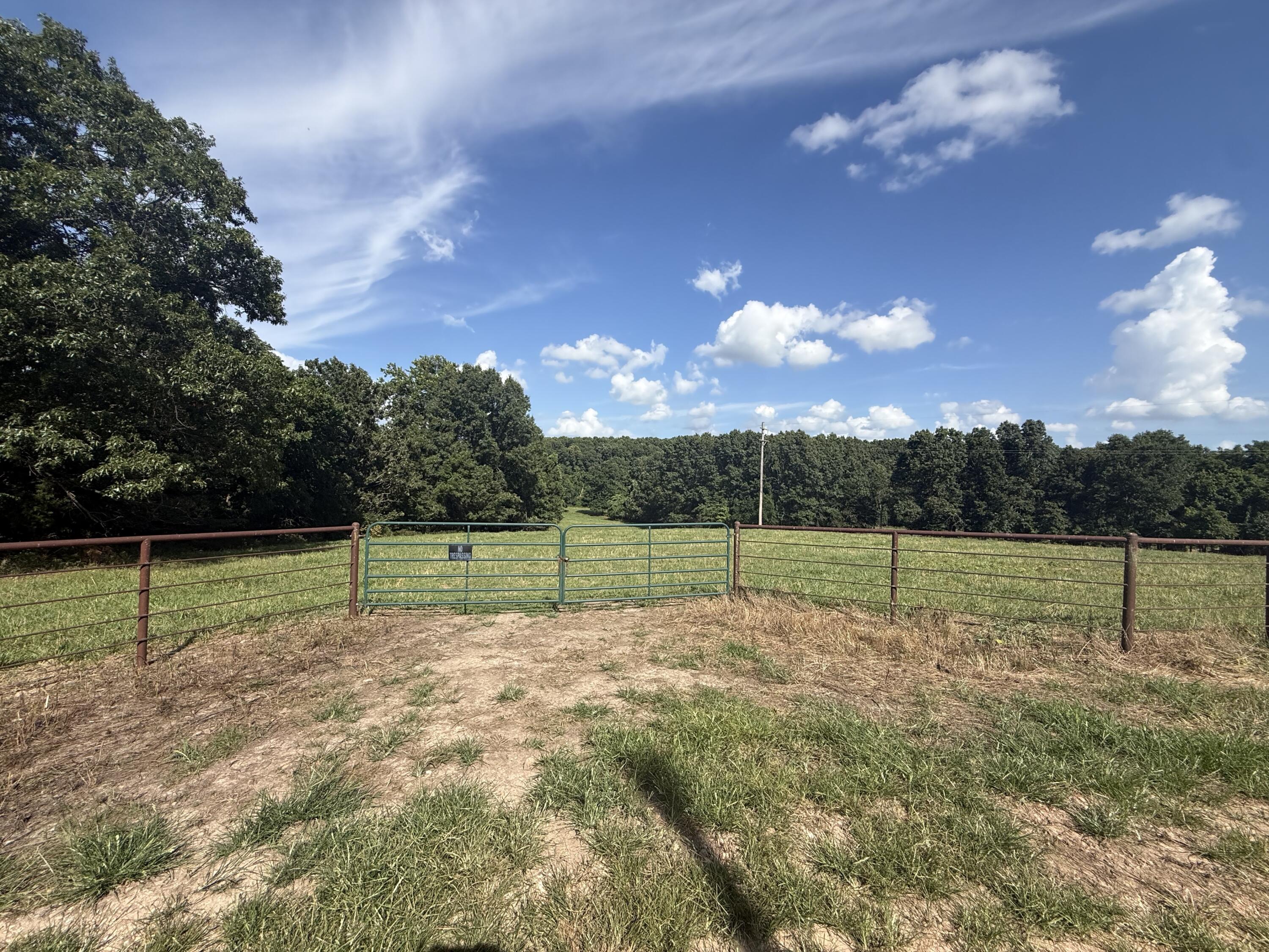 6731 Raccoon Road Property Photo 58