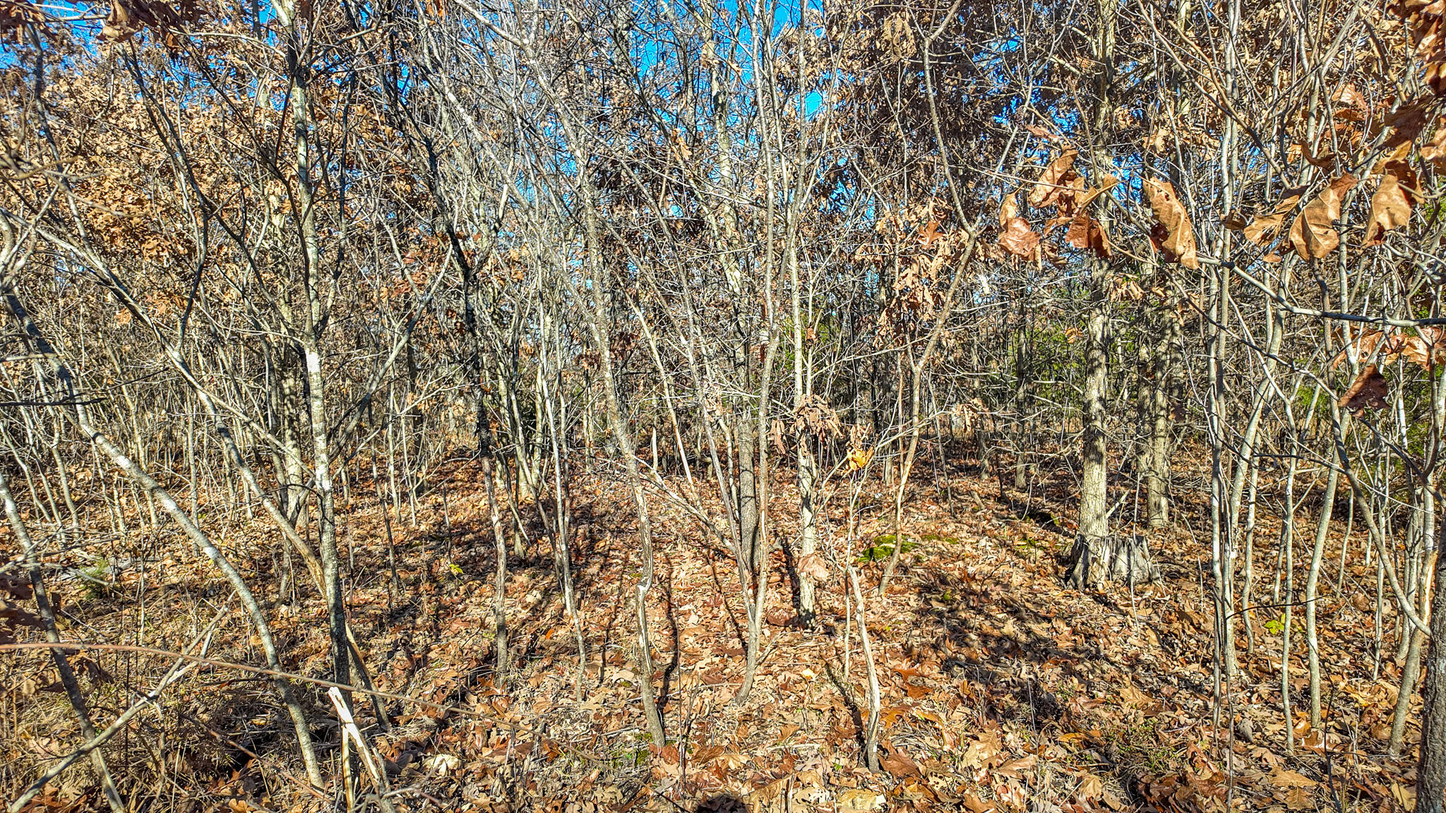 0000 Southeast 1151 Road Property Photo 15
