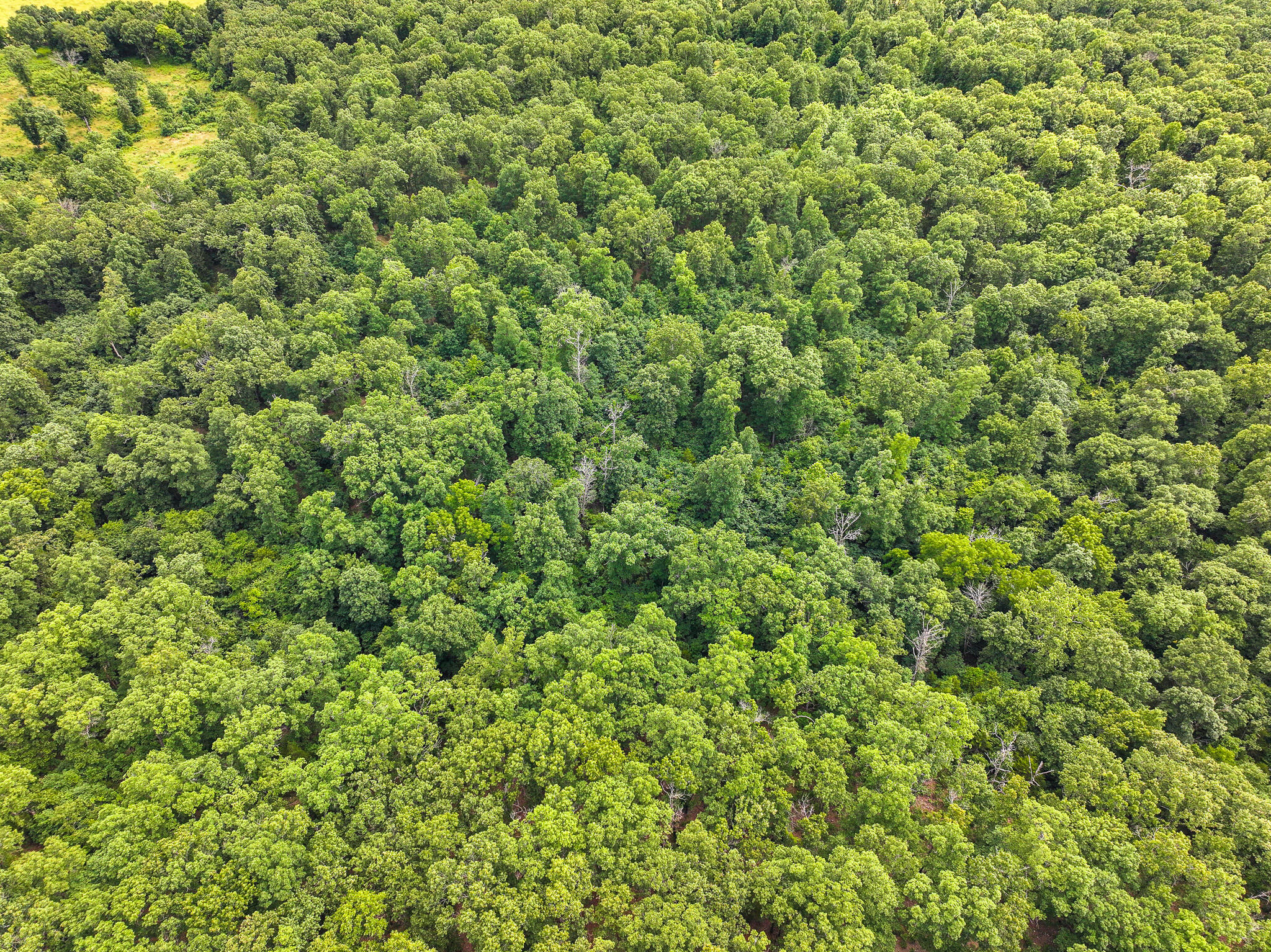 0000 Southeast 1151 Road Property Photo 34