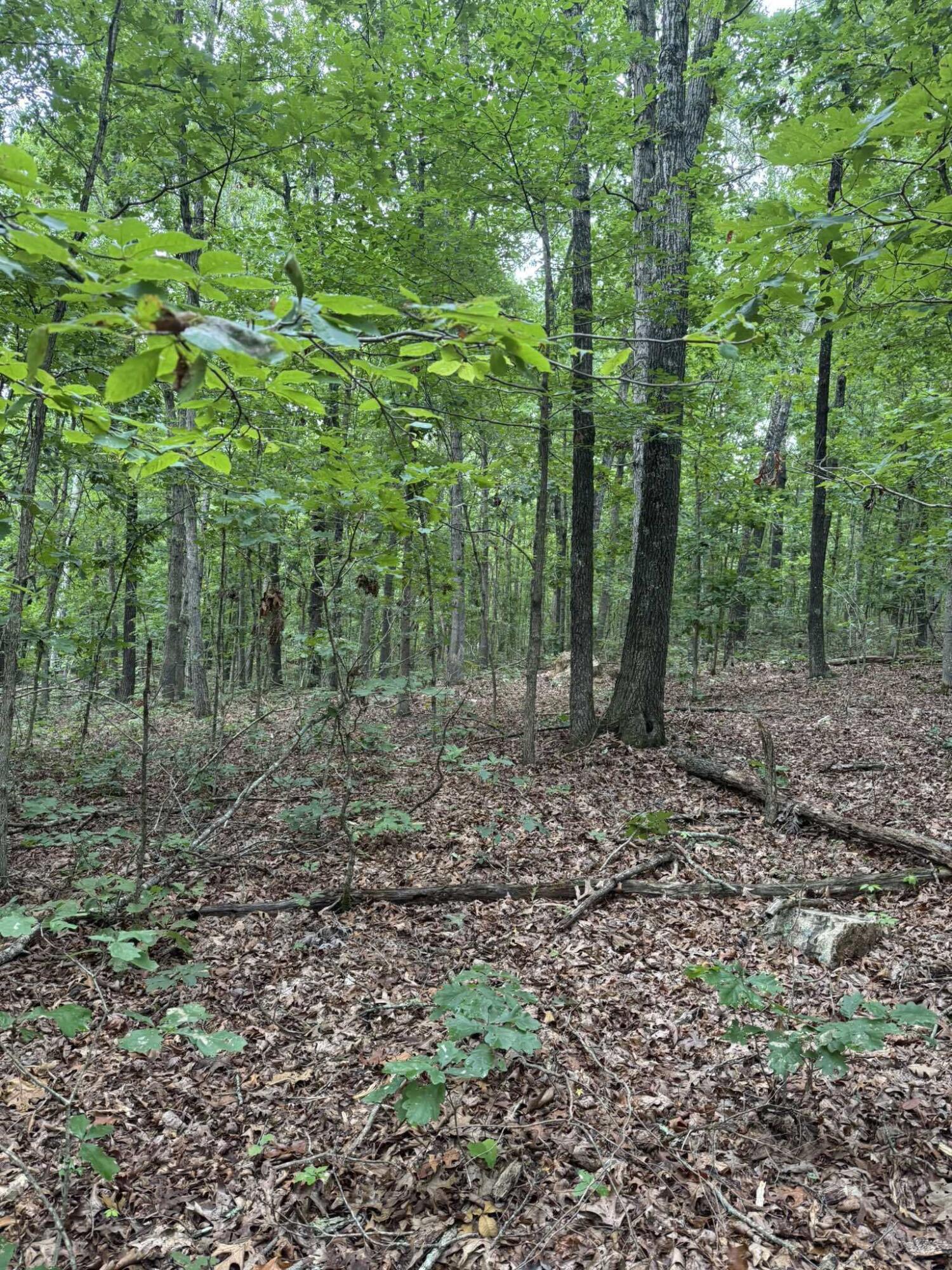 5996 County Road 654 Property Photo 13