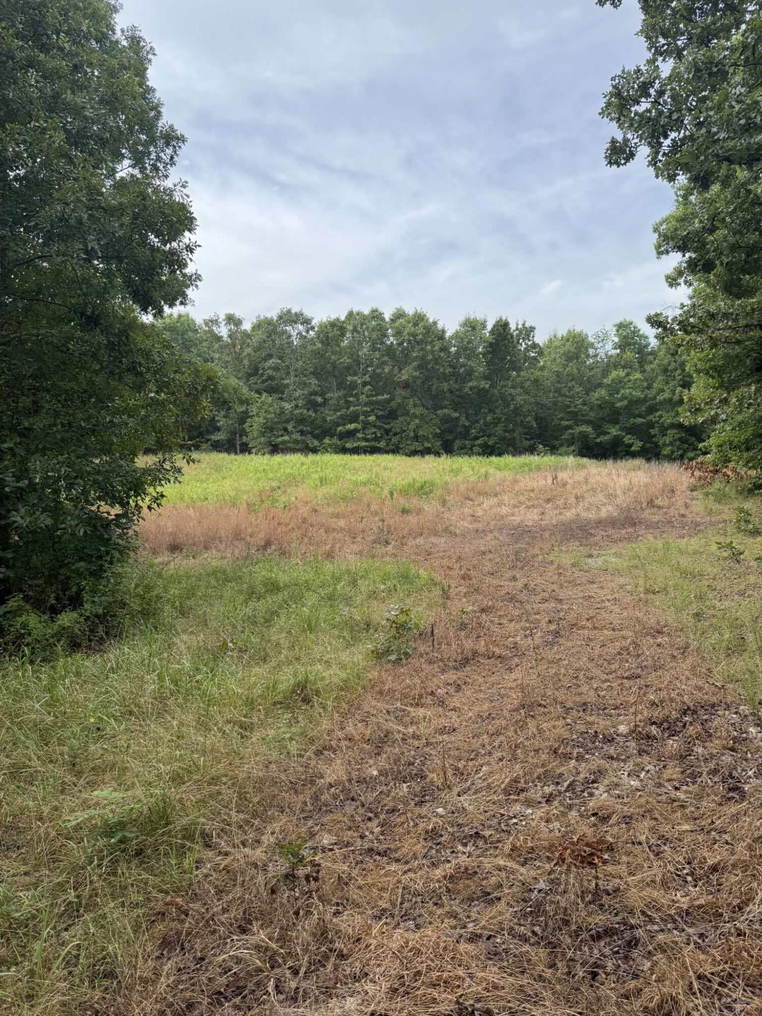 5996 County Road 654 Property Photo 14