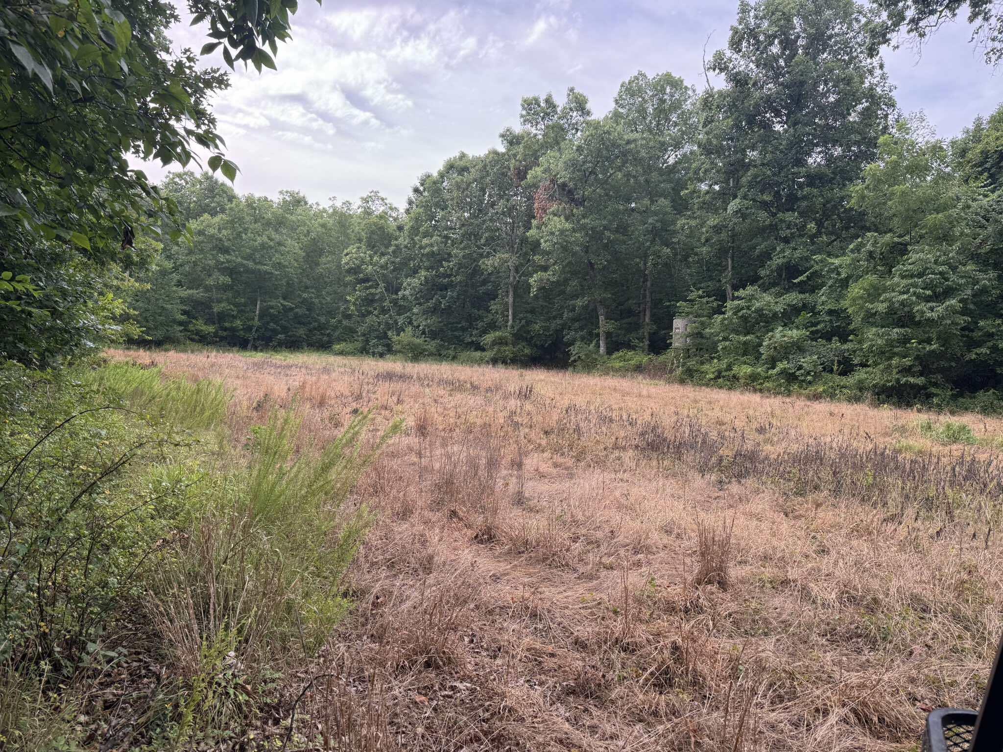 5996 County Road 654 Property Photo 16