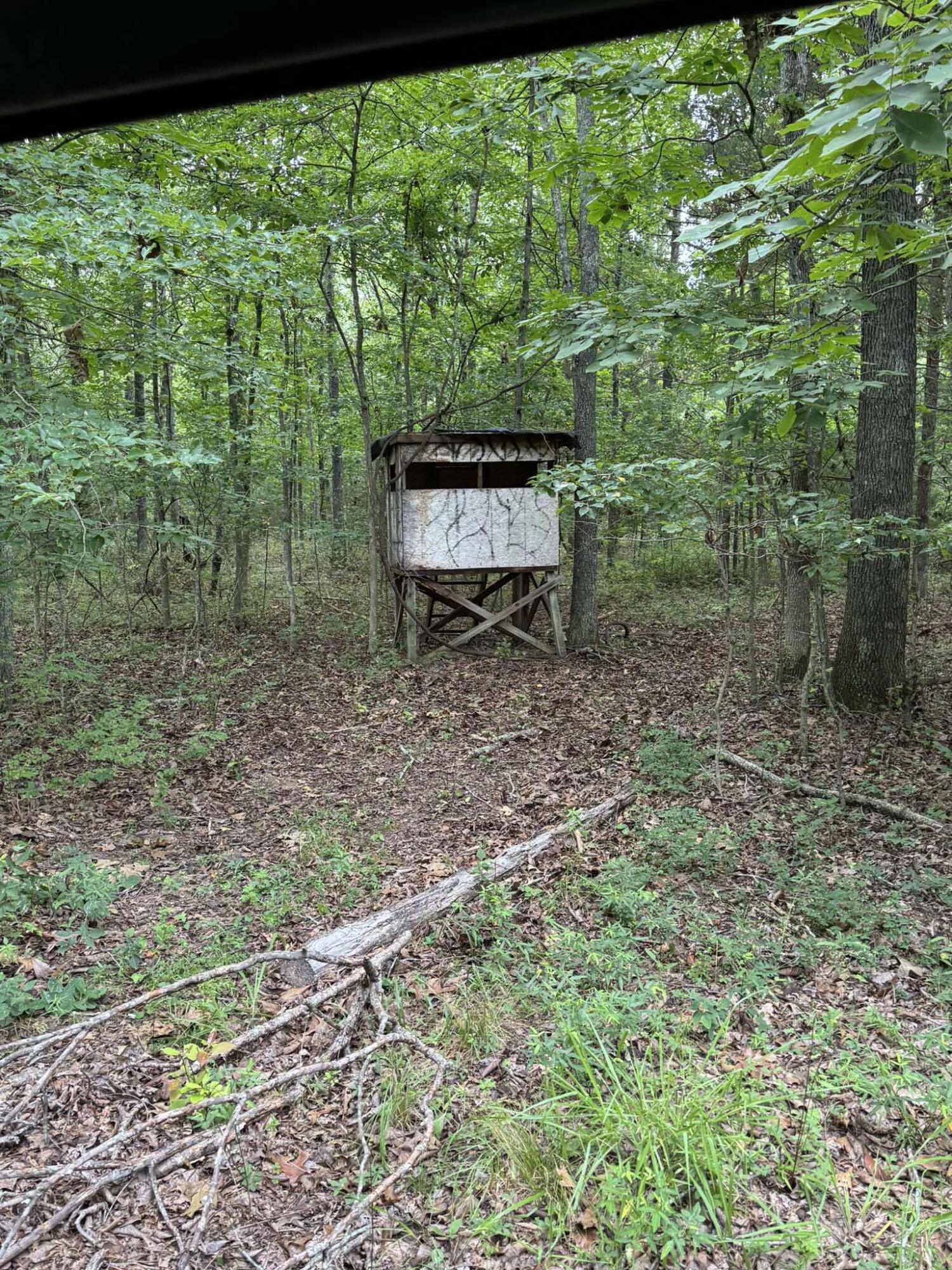 5996 County Road 654 Property Photo 17