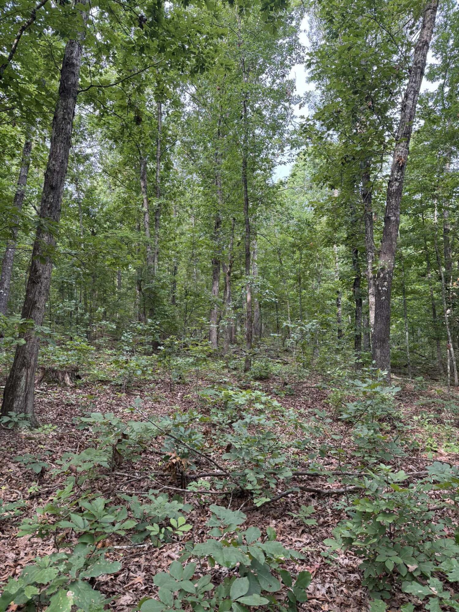 5996 County Road 654 Property Photo 22