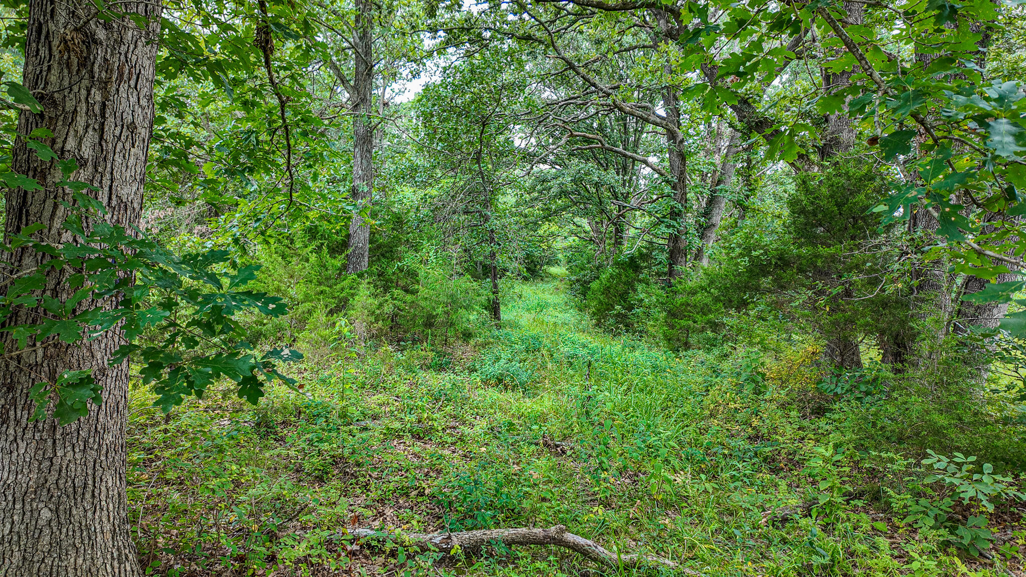 0000 Northeast 251 Road Property Photo 8