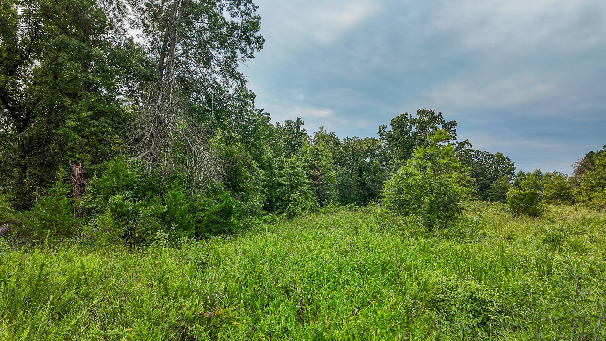 0000 Northeast 251 Road Property Photo 13