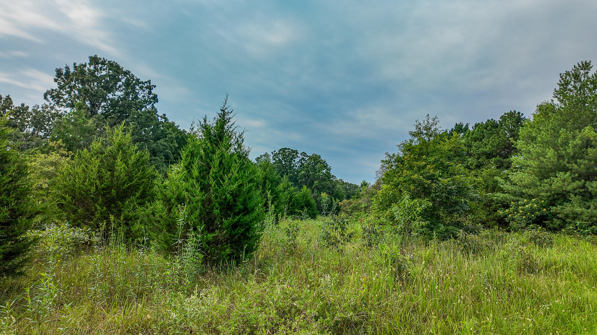 0000 Northeast 251 Road Property Photo 14