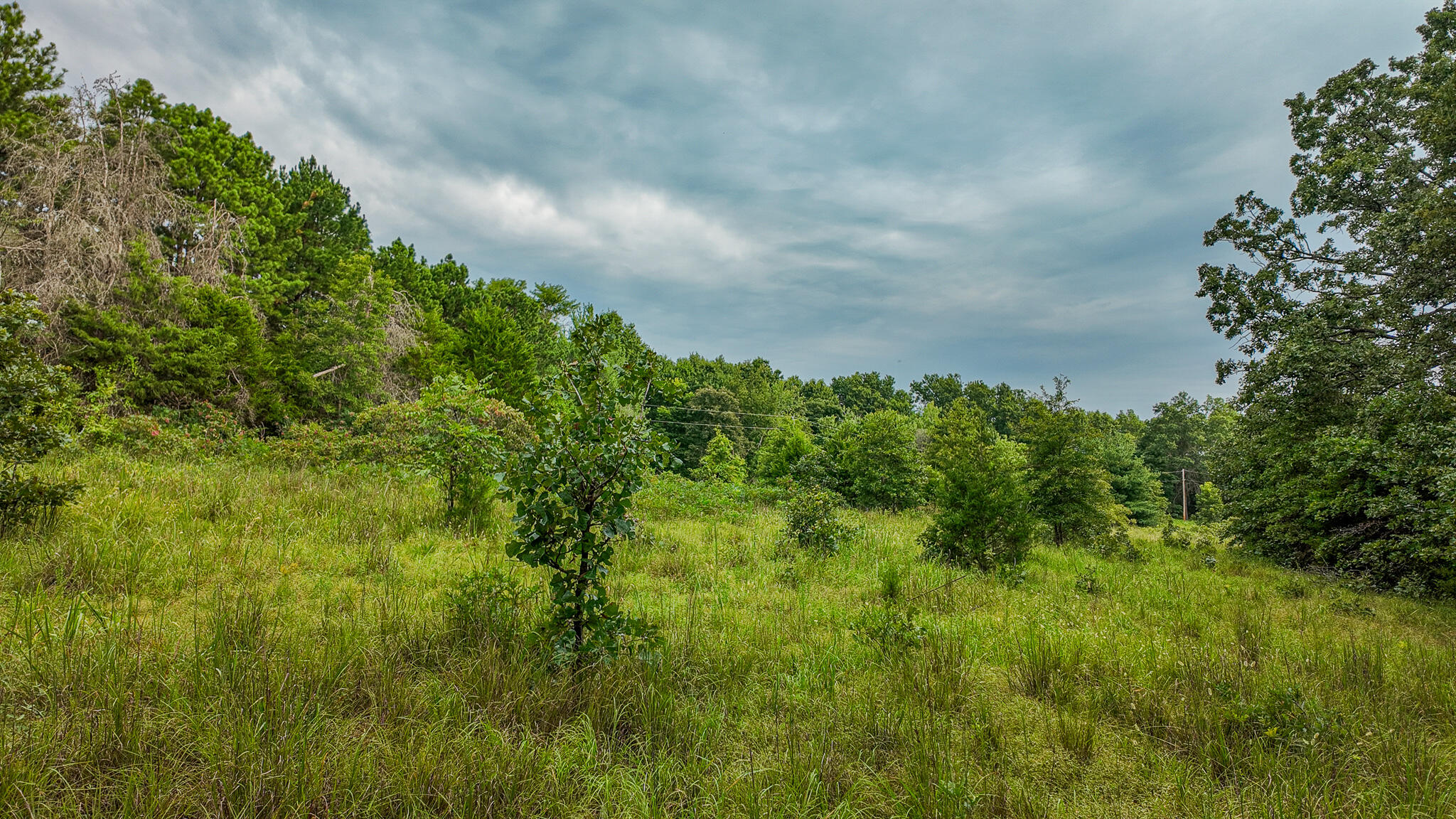 0000 Northeast 251 Road Property Photo 16