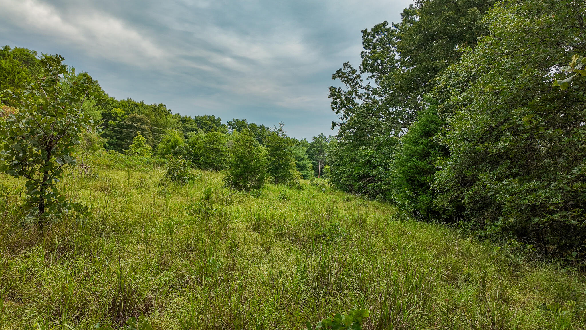 0000 Northeast 251 Road Property Photo 17