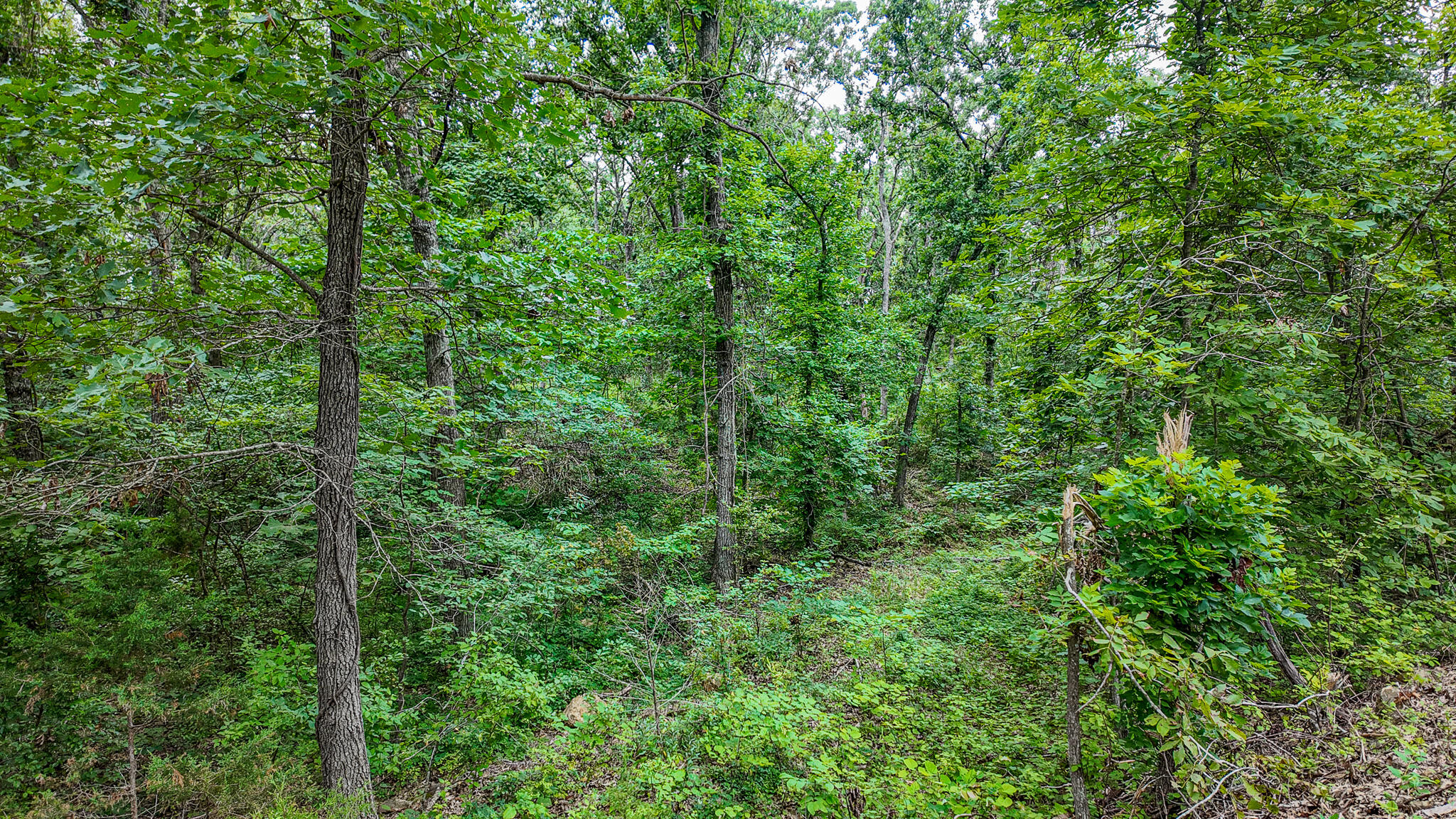 0000 Northeast 251 Road Property Photo 21