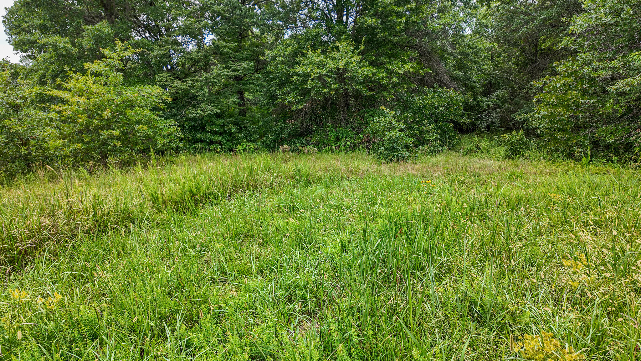 0000 Northeast 251 Road Property Photo 25
