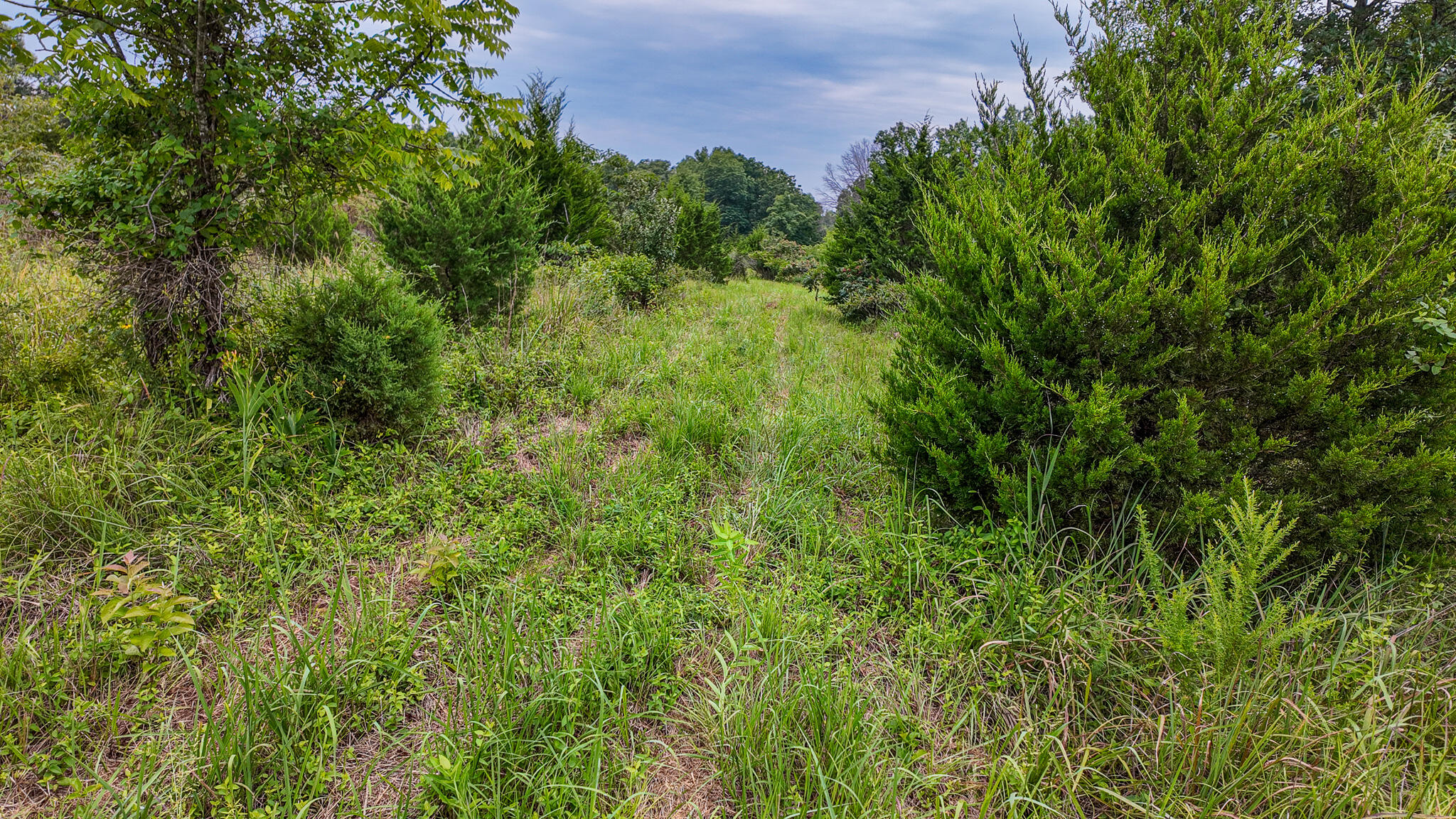 0000 Northeast 251 Road Property Photo 26