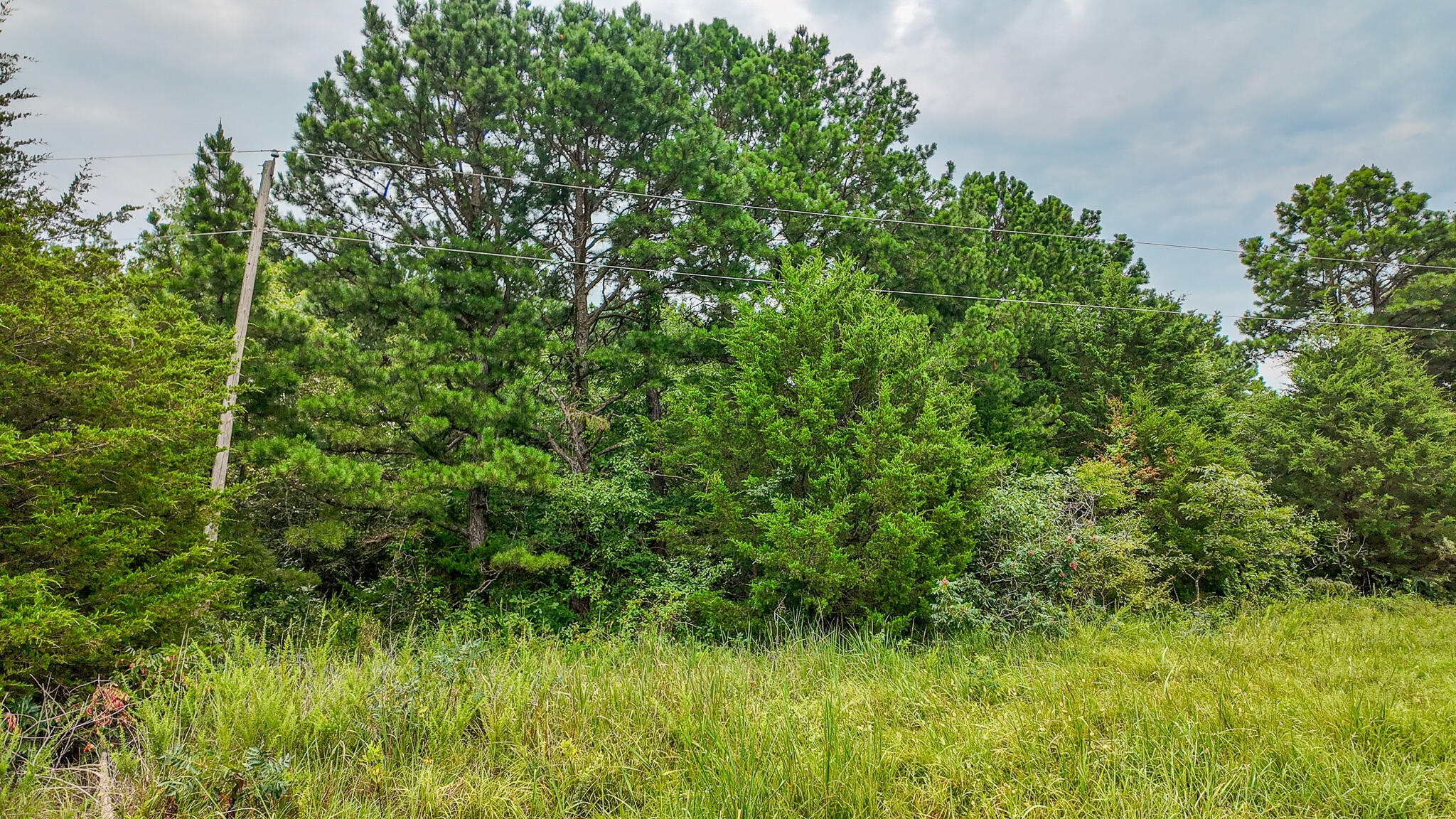 0000 Northeast 251 Road Property Photo 28
