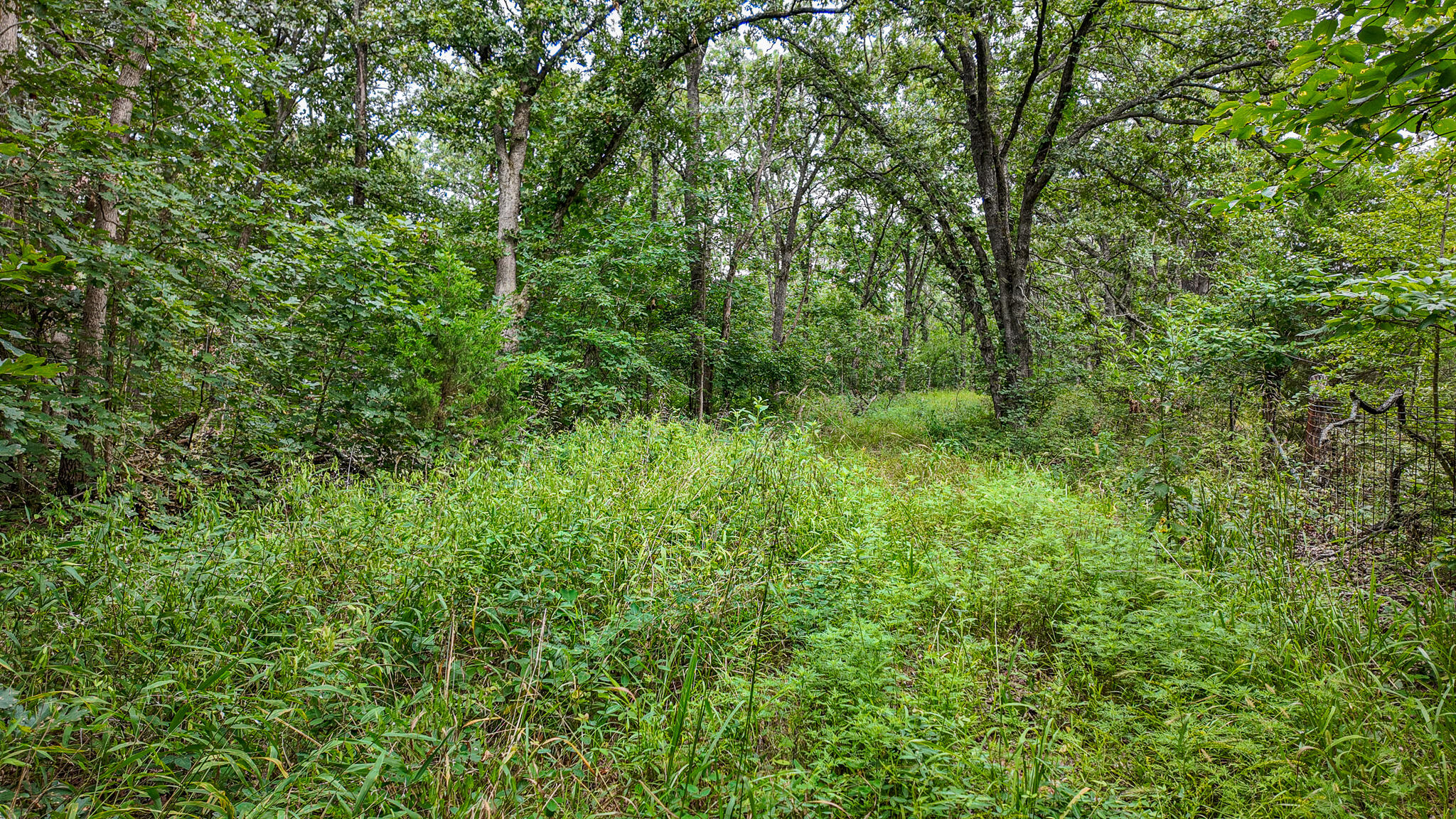 0000 Northeast 251 Road Property Photo 31