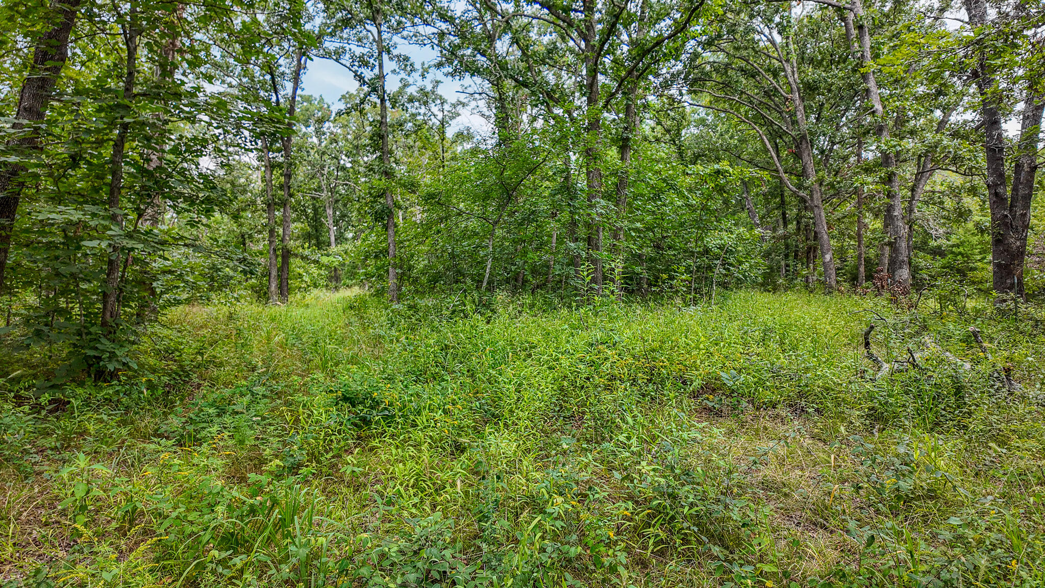 0000 Northeast 251 Road Property Photo 32
