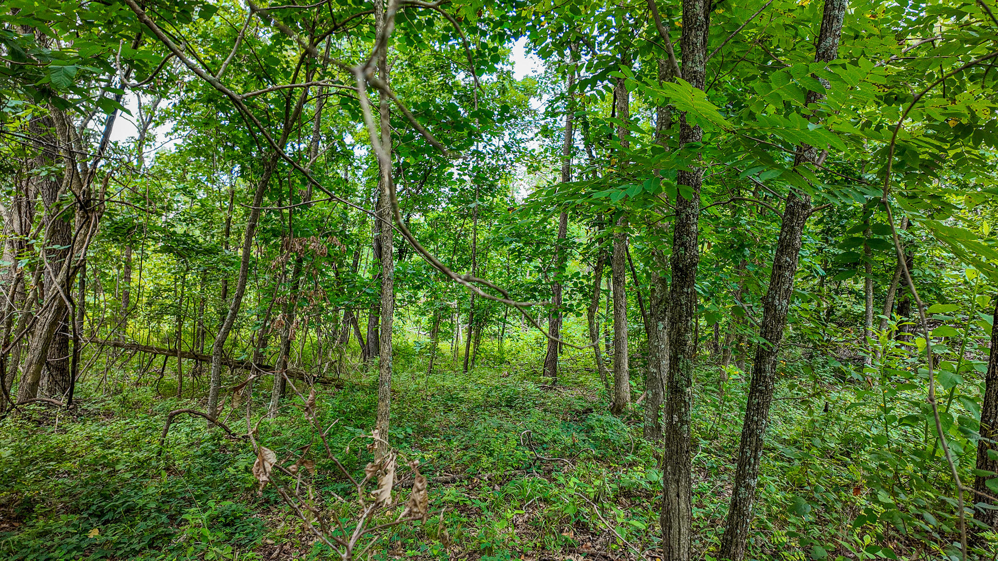 0000 Northeast 251 Road Property Photo 33