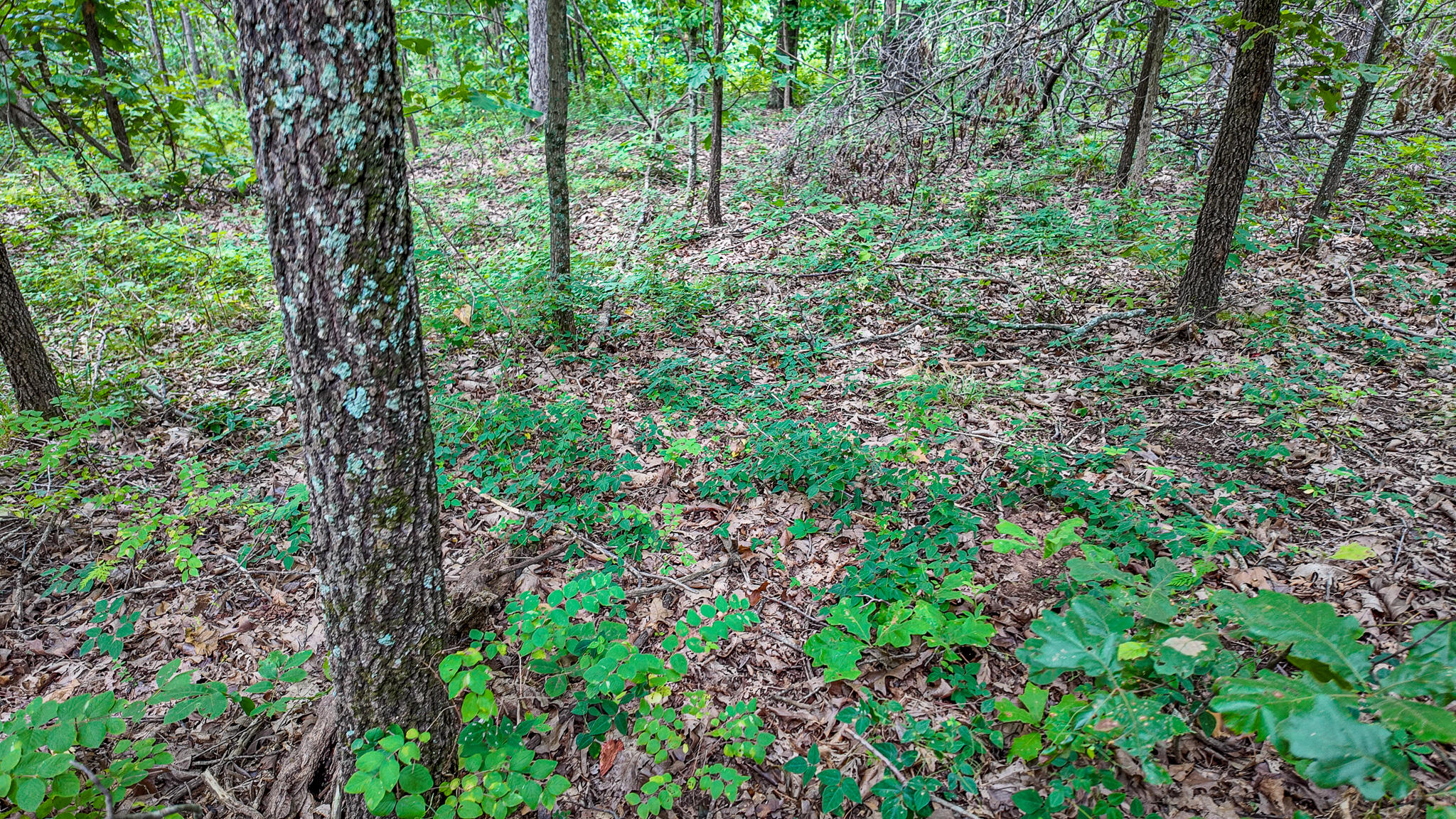 0000 Northeast 251 Road Property Photo 34