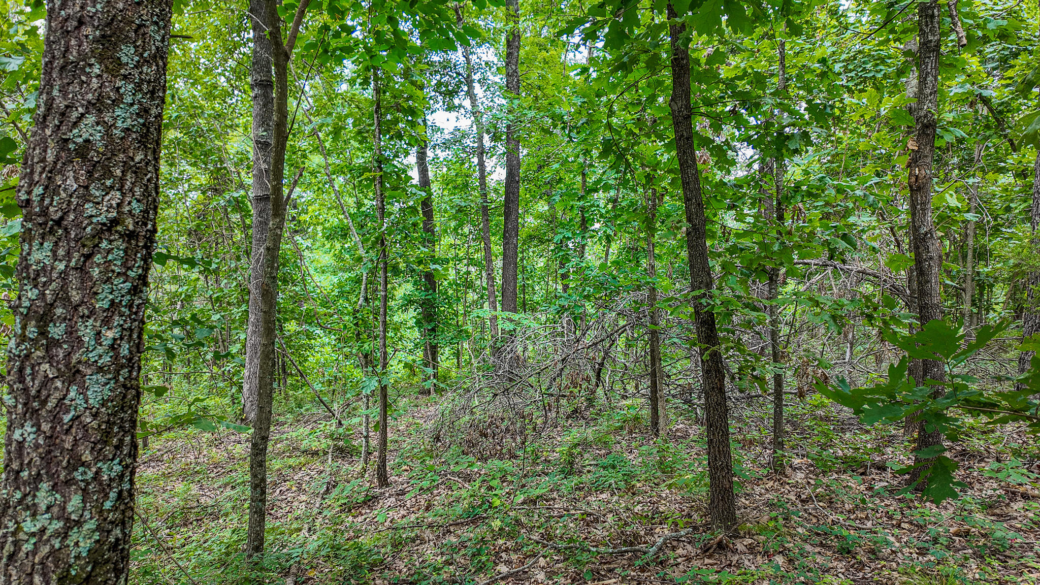 0000 Northeast 251 Road Property Photo 35