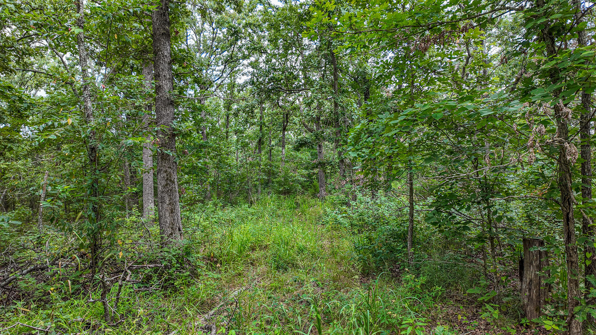 0000 Northeast 251 Road Property Photo 37