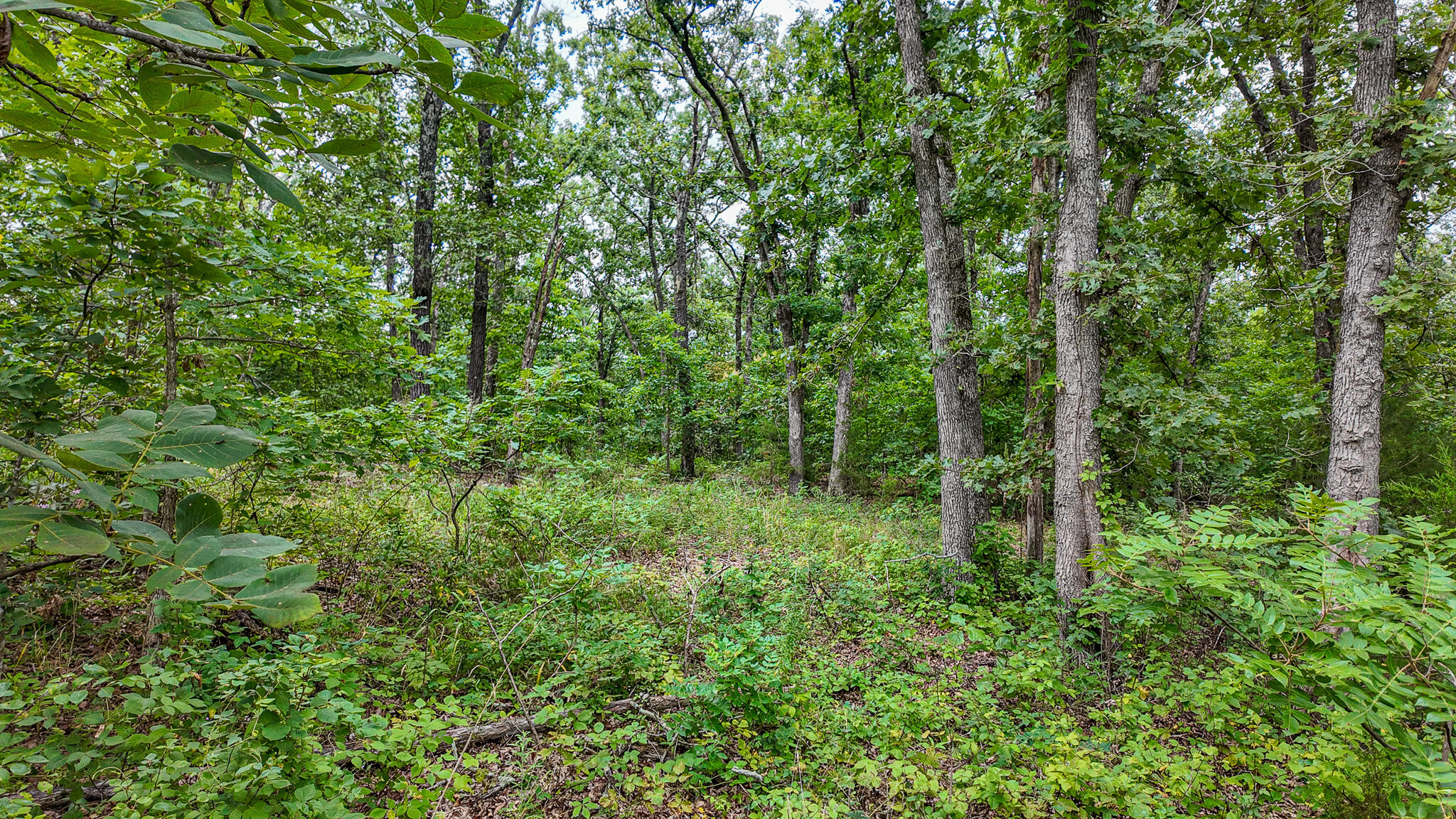 0000 Northeast 251 Road Property Photo 39