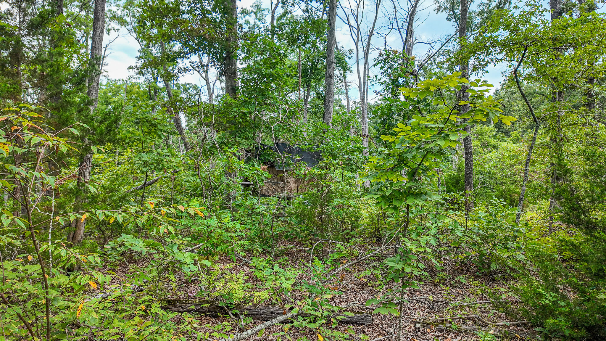 0000 Northeast 251 Road Property Photo 40